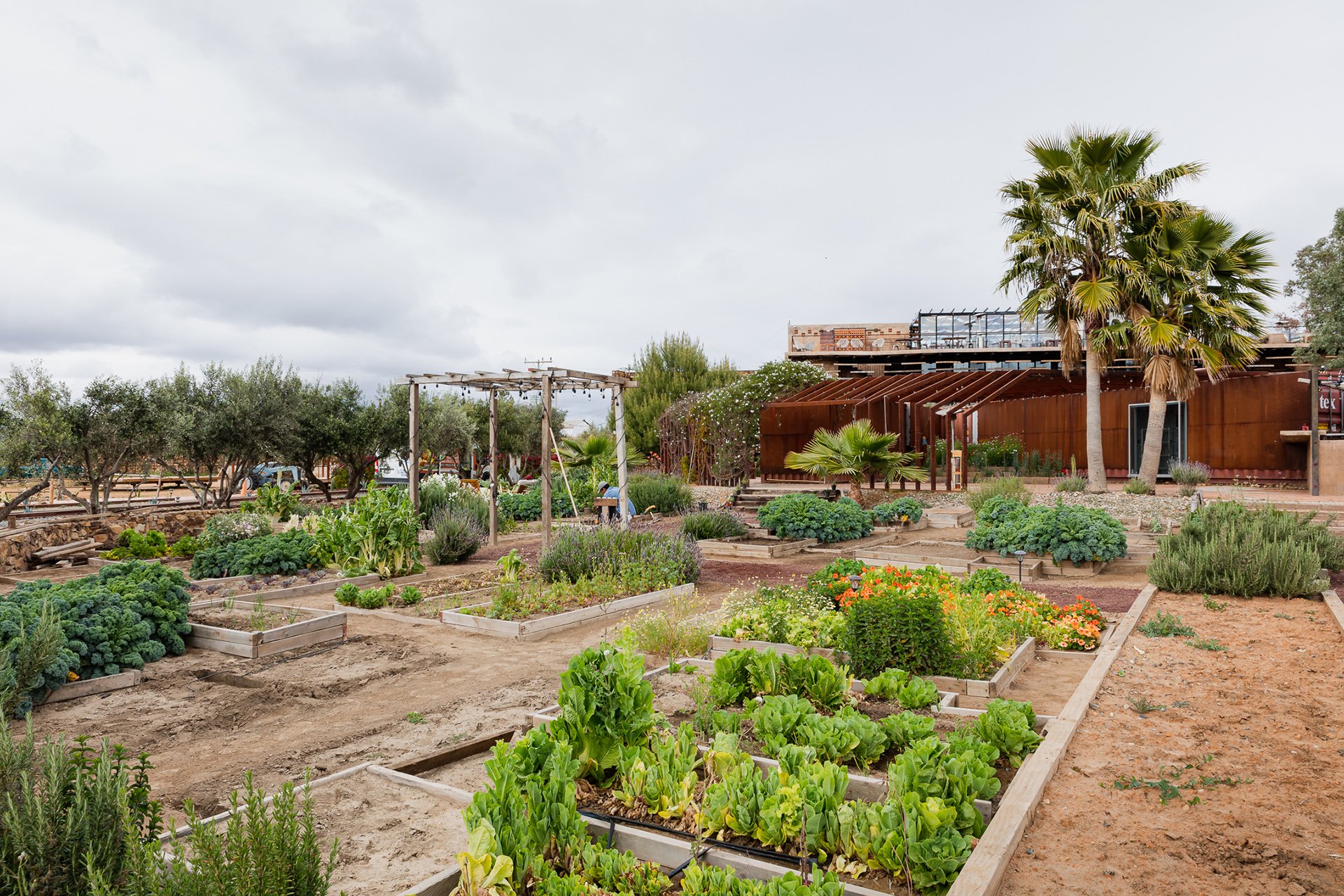A stunning organic garden with sustainable raised beds and modern rustic architecture, perfect for eco-friendly boutique hotels, restaurants, and event spaces. Tailored for Melbourne, Australia and New Zealand hospitality brands seeking to showcase t