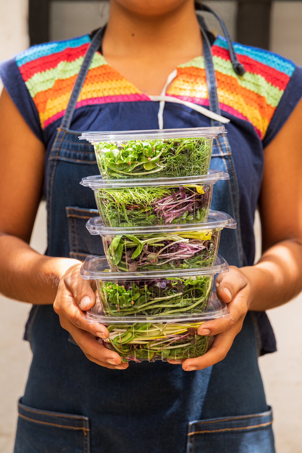 A colorful display of fresh microgreens in eco-friendly containers, showcasing Melbourne's commitment to plant-based and sustainable living.