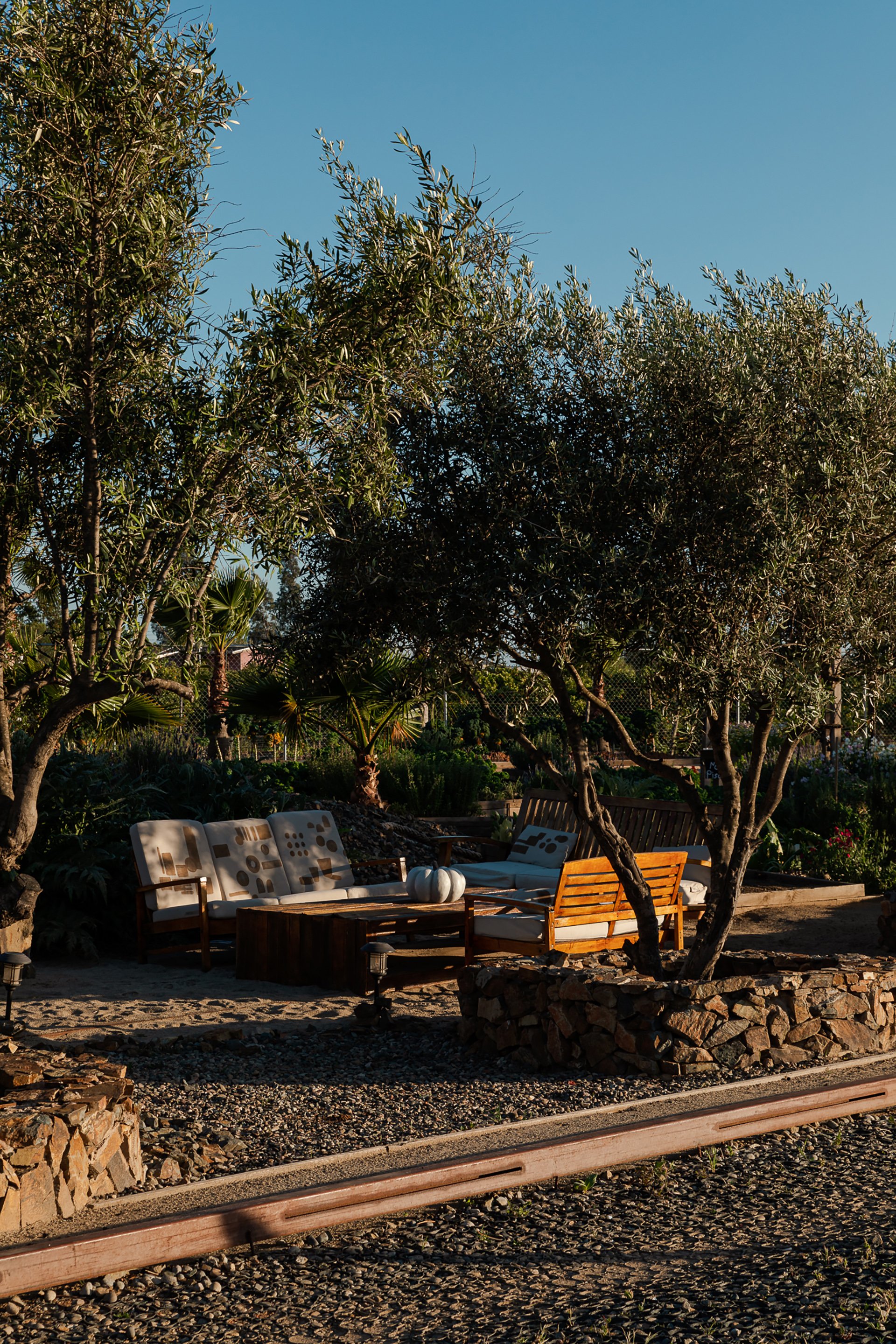 A tranquil outdoor seating area framed by olive trees, with rustic stone and handcrafted wooden furniture. This space is ideal for boutique hotels and sustainable hospitality in Melbourne and New Zealand. My focus on sustainability and spaces photogr