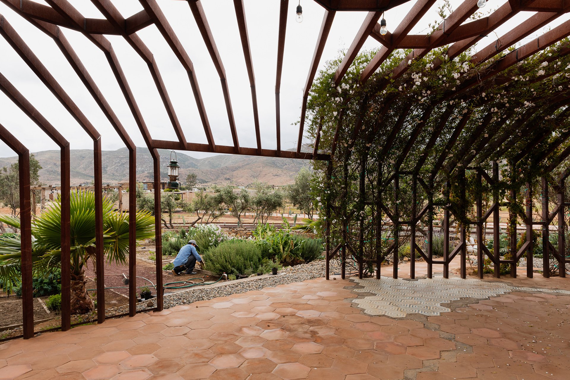 A contemporary outdoor structure with geometric wooden designs and lush greenery, ideal for boutique hotels or wedding venues in Australia. A perfect backdrop for creating memorable experiences in serene landscapes.