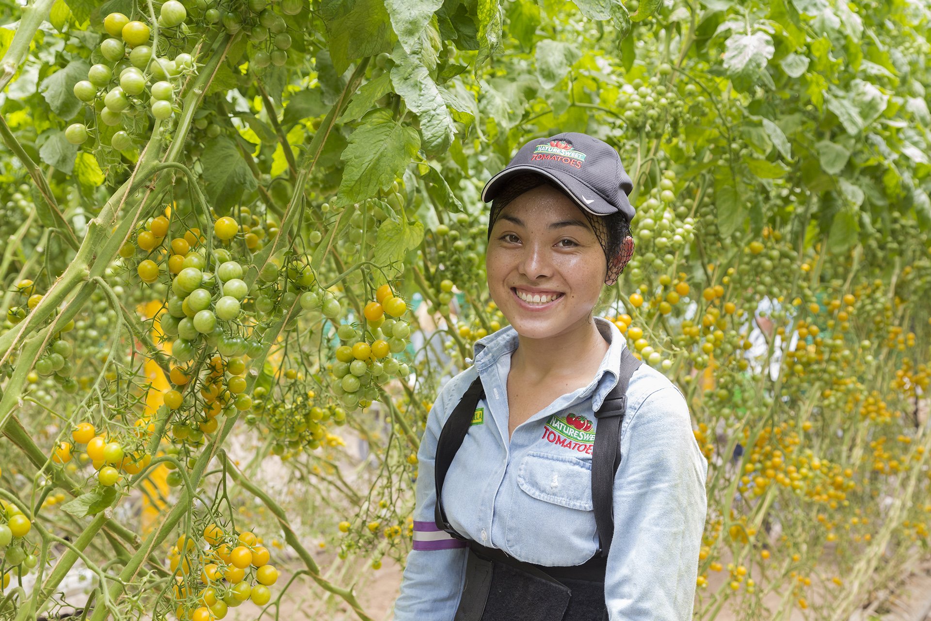 A striking portrait of a farmer surrounded by vibrant yellow tomatoes, photographed by Melbourne-based Shava Cueva. This image celebrates the people behind sustainable agriculture and their commitment to quality. A perfect fit for brands wanting to s