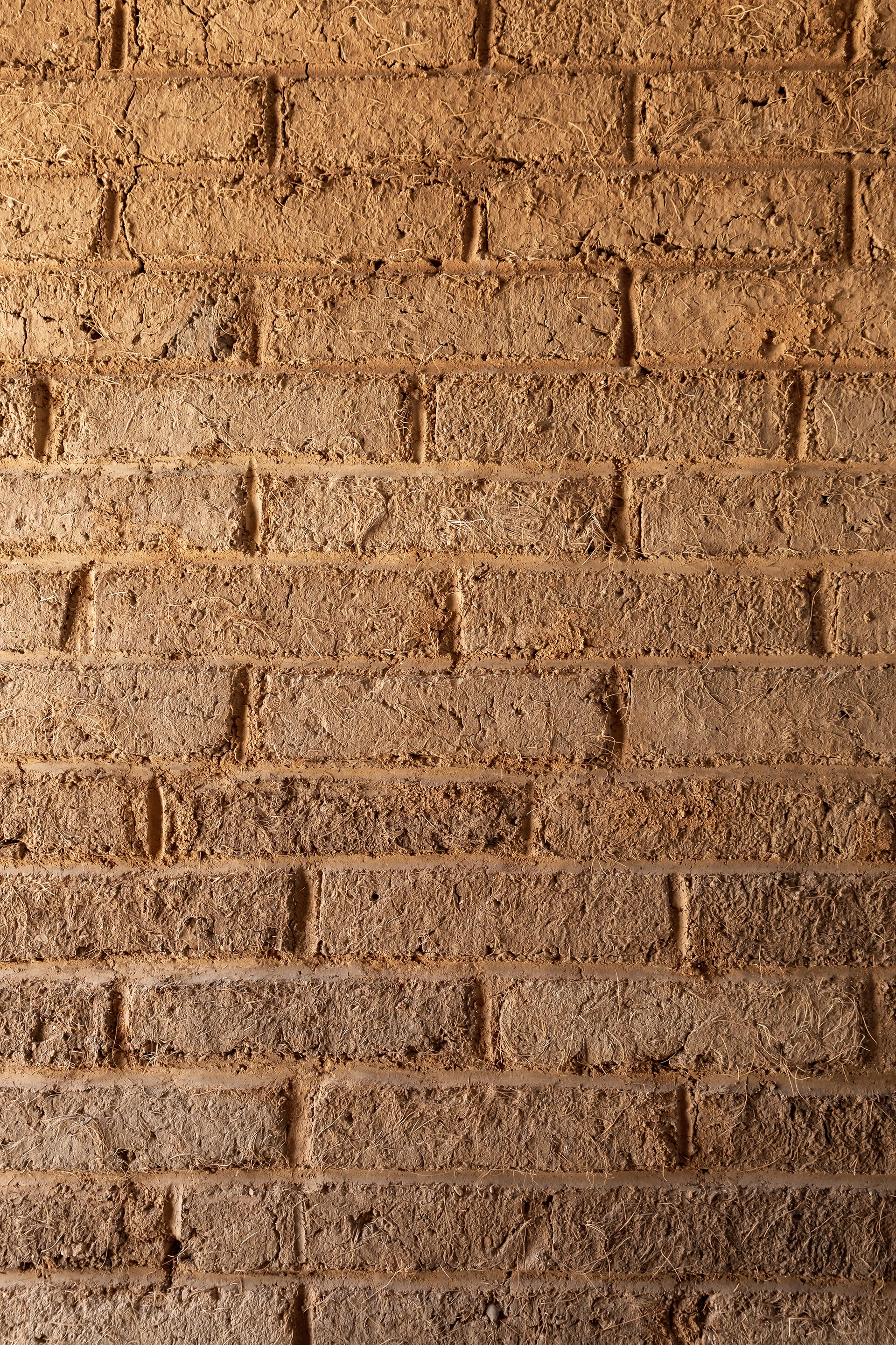 Warm toned texture photography, ideal for premium beverage branding and Australian craft distillery visuals.
