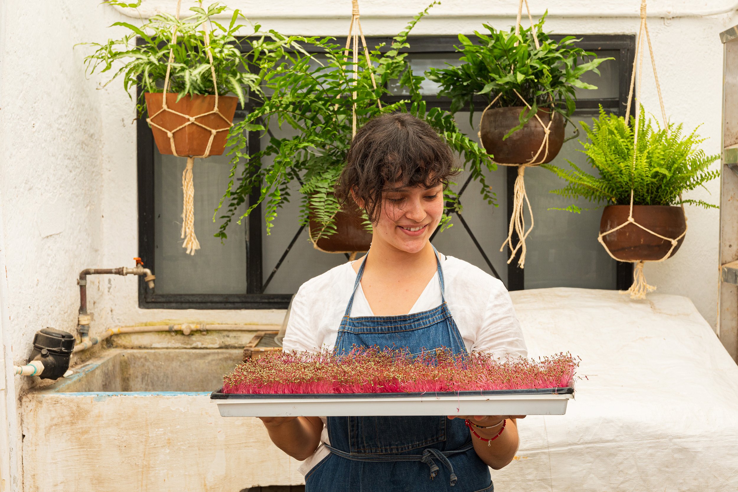 A joyful moment of a grower proudly holding a tray of vibrant microgreens. Photographed in Melbourne to highlight sustainability, ethical farming, and vegan-friendly food.