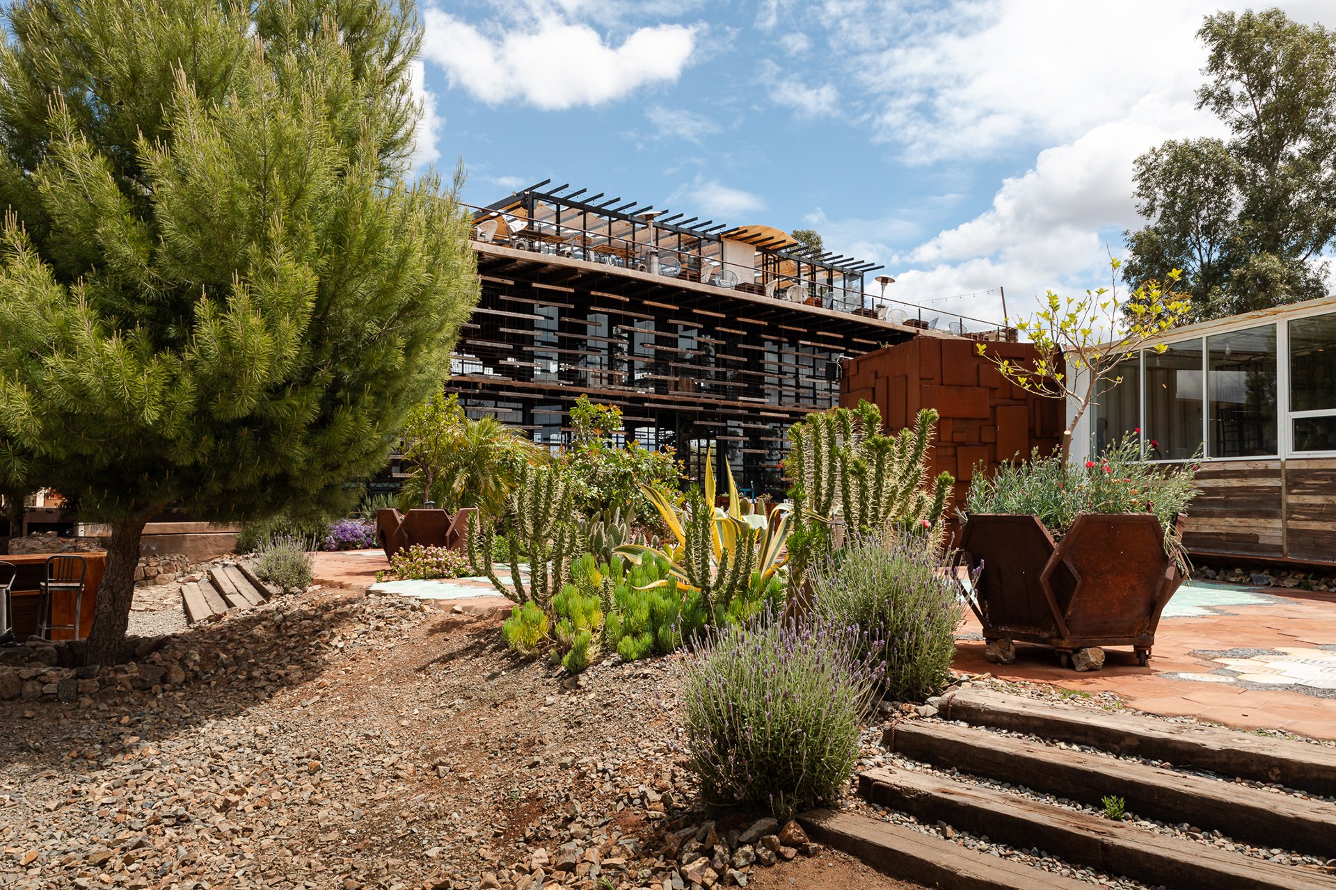 Boutique accommodation surrounded by native desert plants and sustainable design. Perfect for Melbourne and New Zealand brands promoting luxury travel with a focus on eco-consciousness and natural beauty.