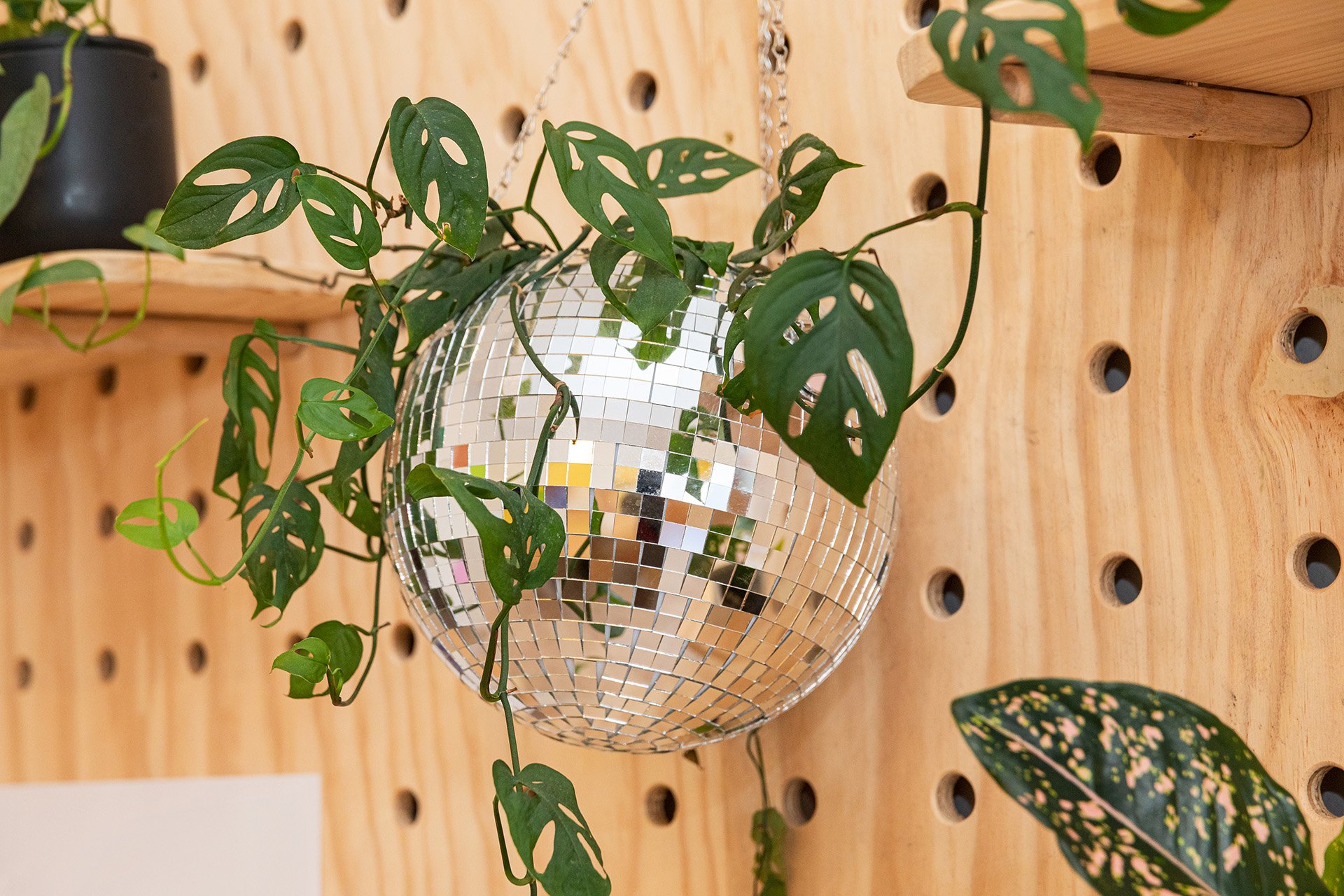 Melbourne-based photographer available for business and lifestyle sessions – photos taken at Meet&Gather in Richmond.