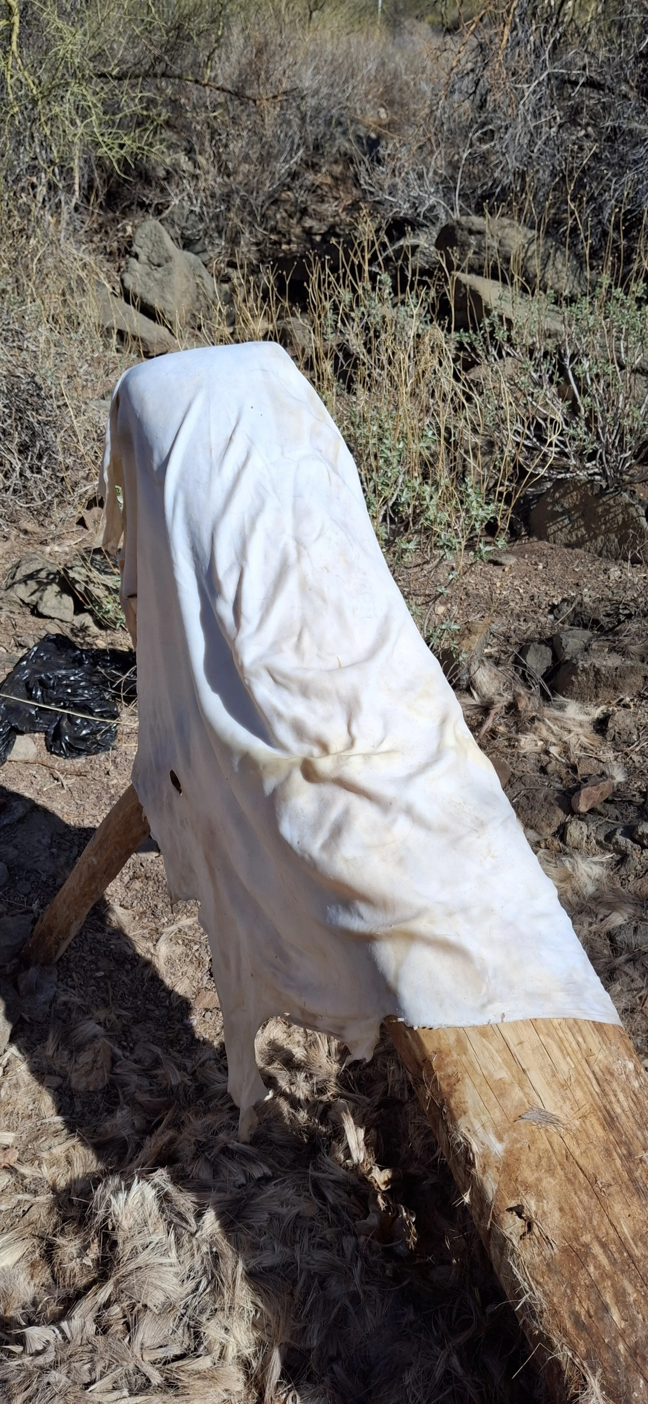 processed_2025-02-05 12.16.45.jpg