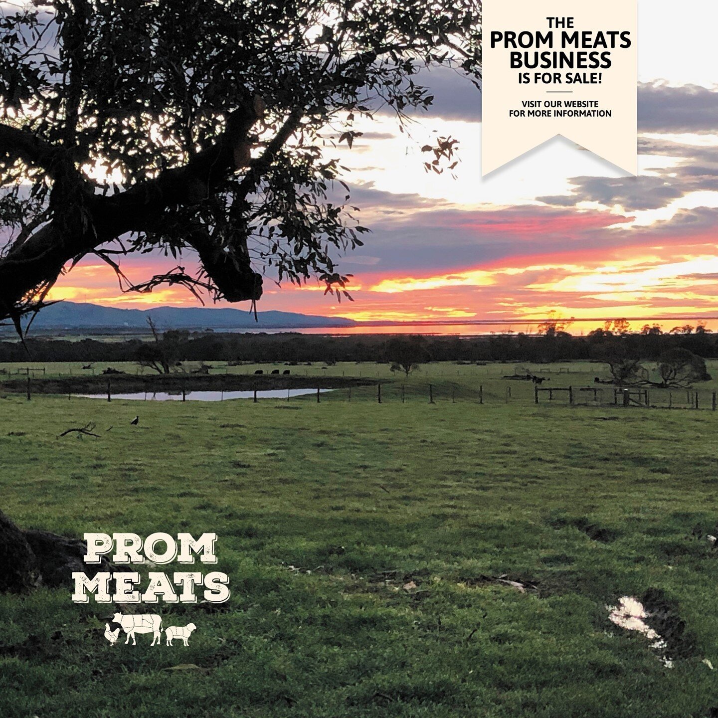Did you know that our quality beef &amp; lamb is supplied by 3rd generation family farm, Tynacya Farm, in Foster? 🐑🐄🌳⁠
⁠
#food #foodie #southgippsland #promcoast #promcountry #foster #paddocktoplate #sustainable #ethicalfarming #forsale #businessf