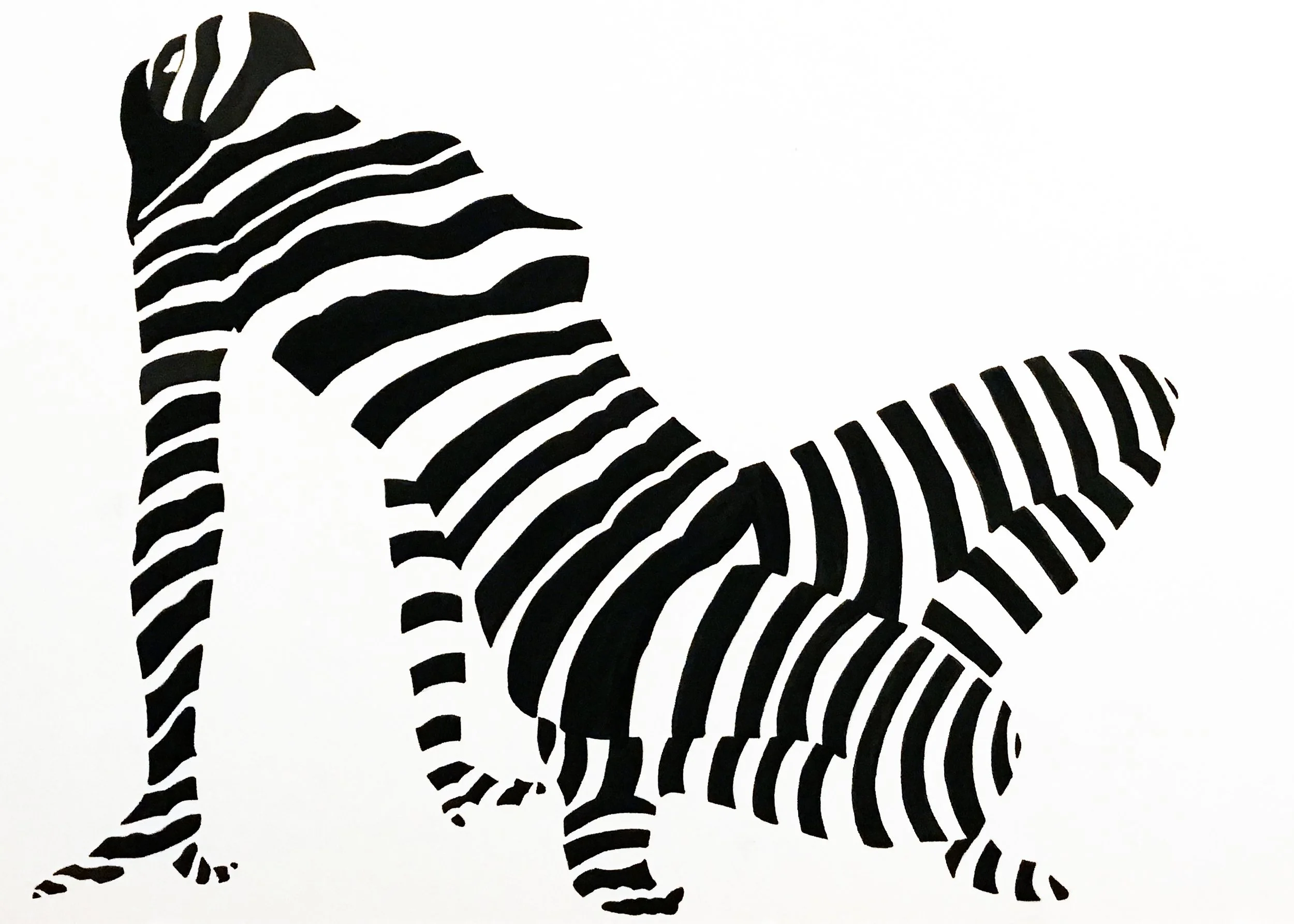 body contour copy.jpg