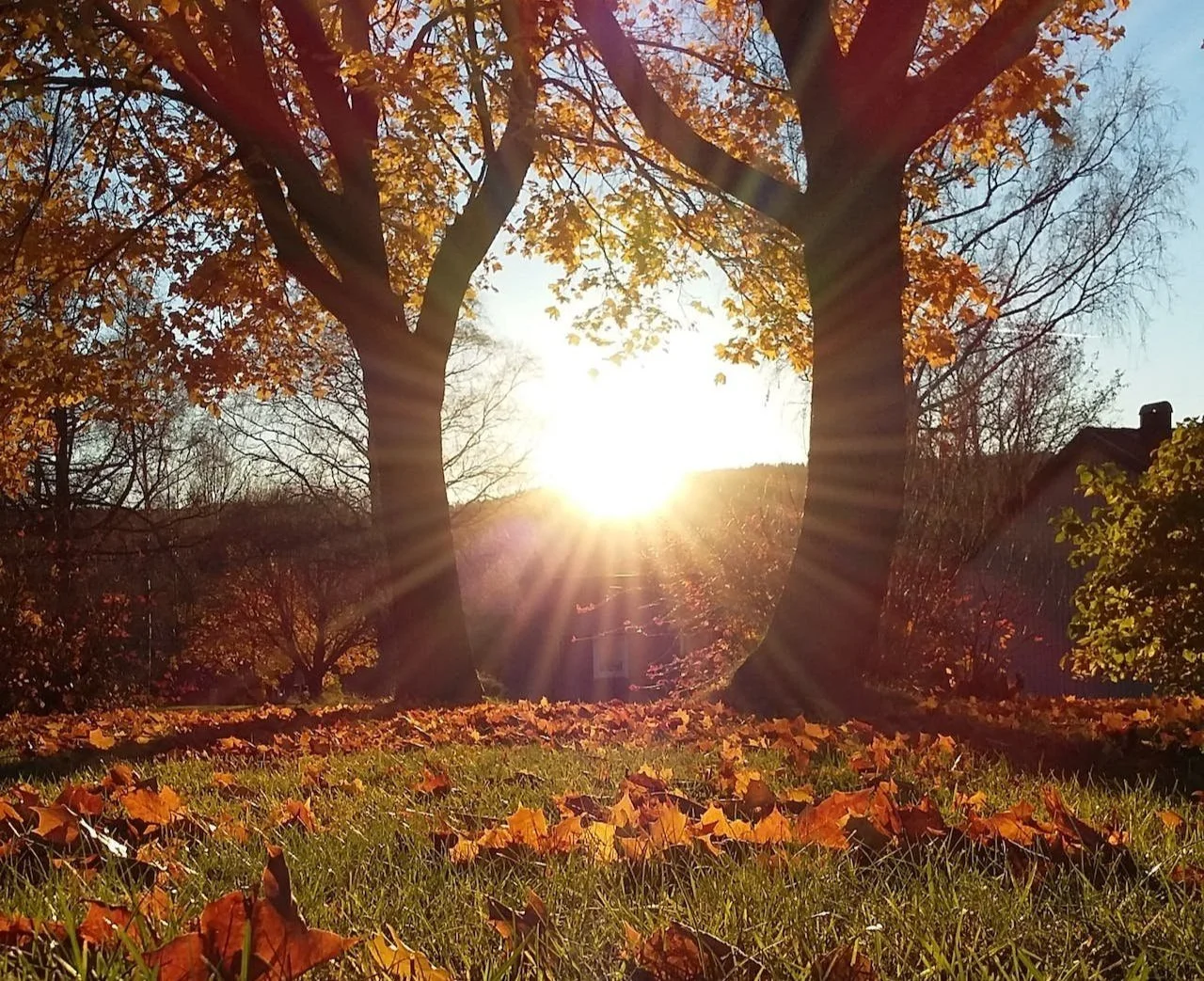 What is Samhain and how do you celebrate it? — Be You Until Full