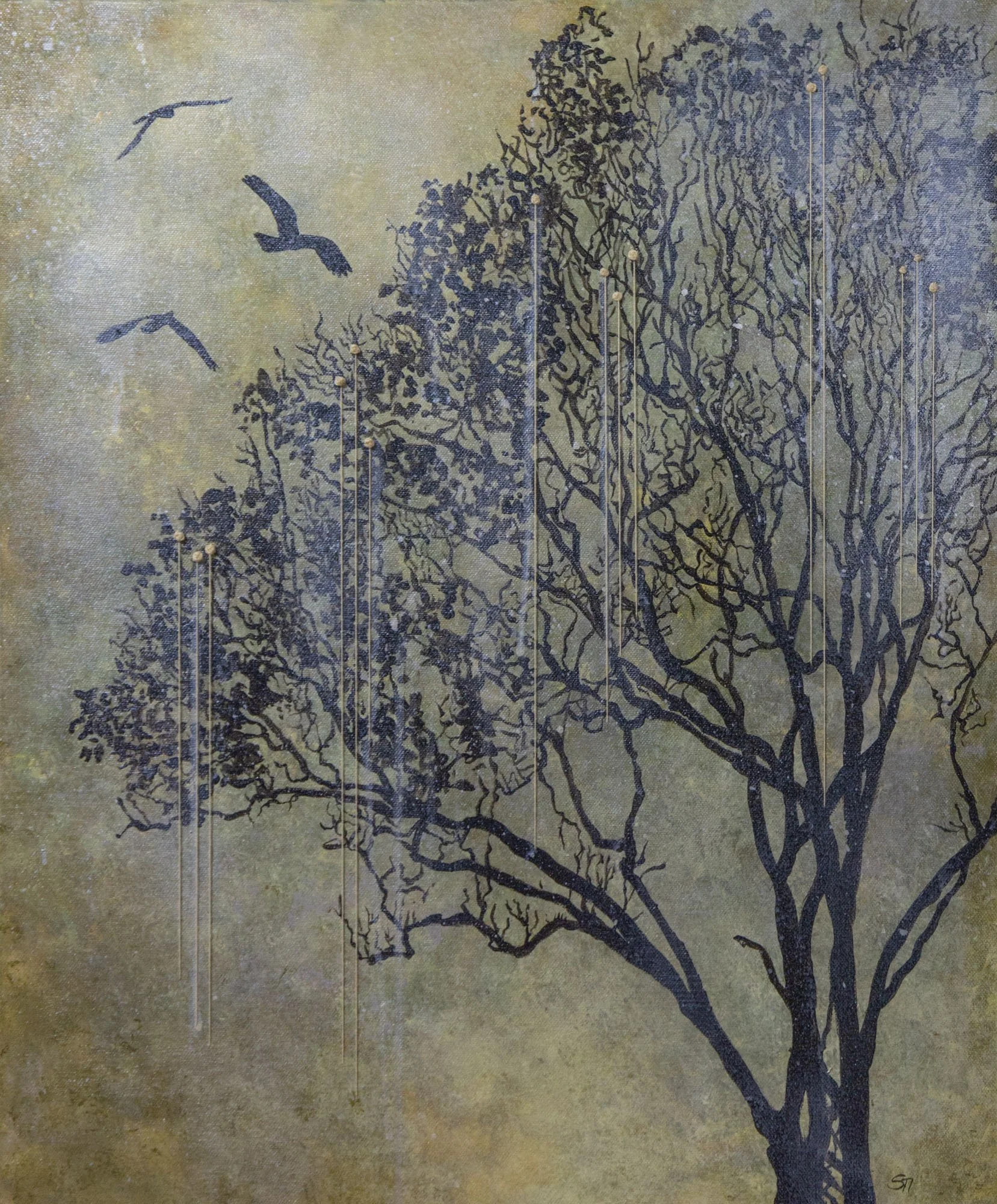 tree silhuoette in the rain