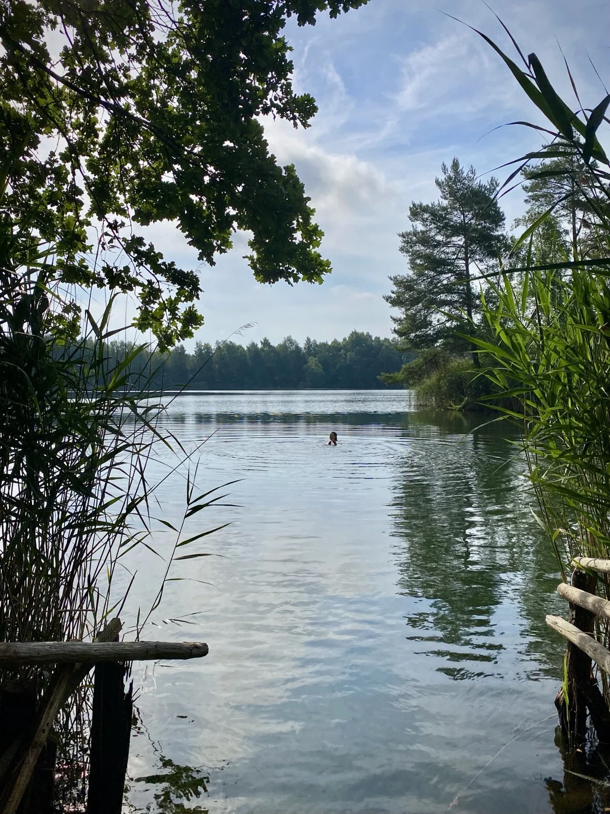 Die Bloggerin Julia von junieundich schwimmt in einem See