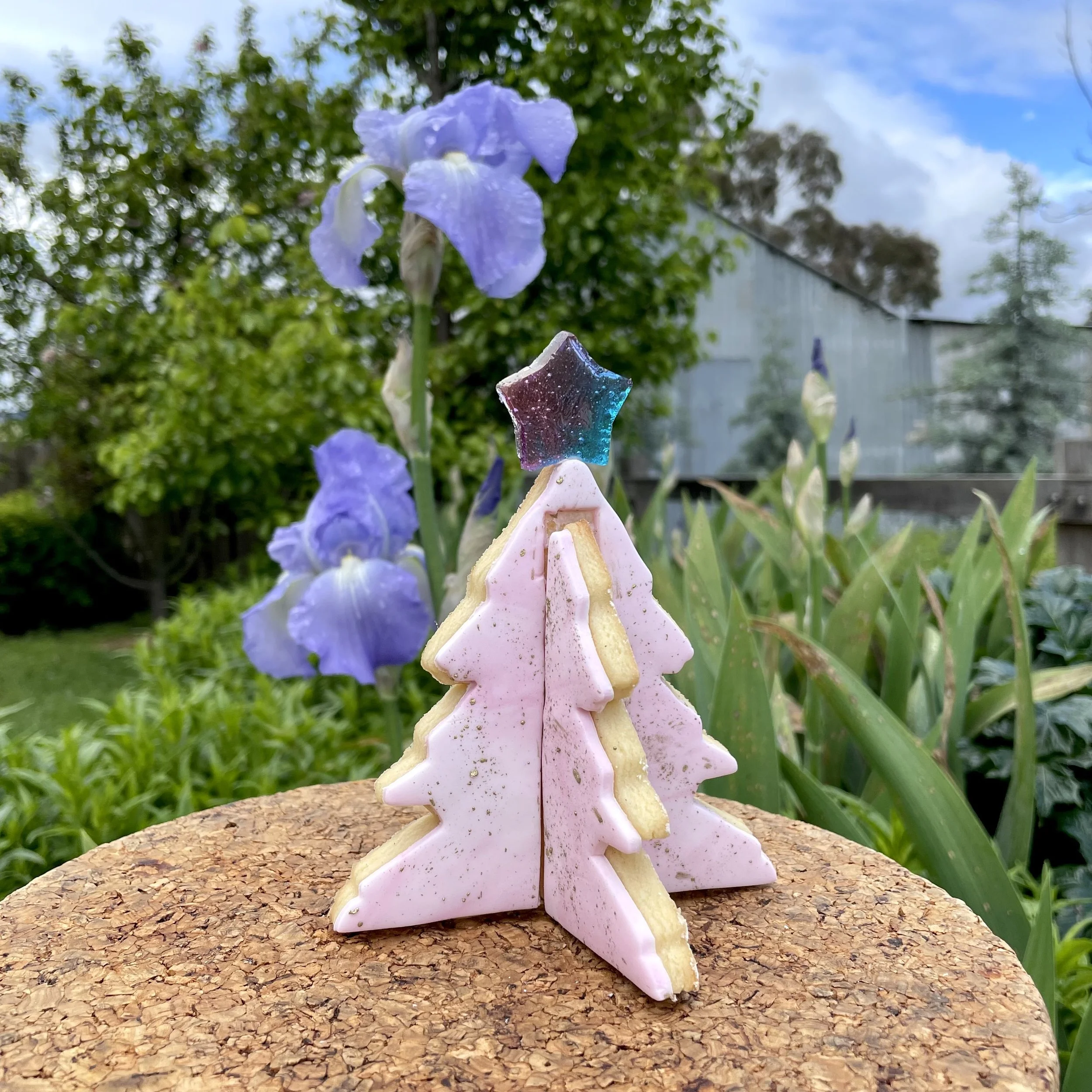 Fondant Christmas Tree Cookie.jpg