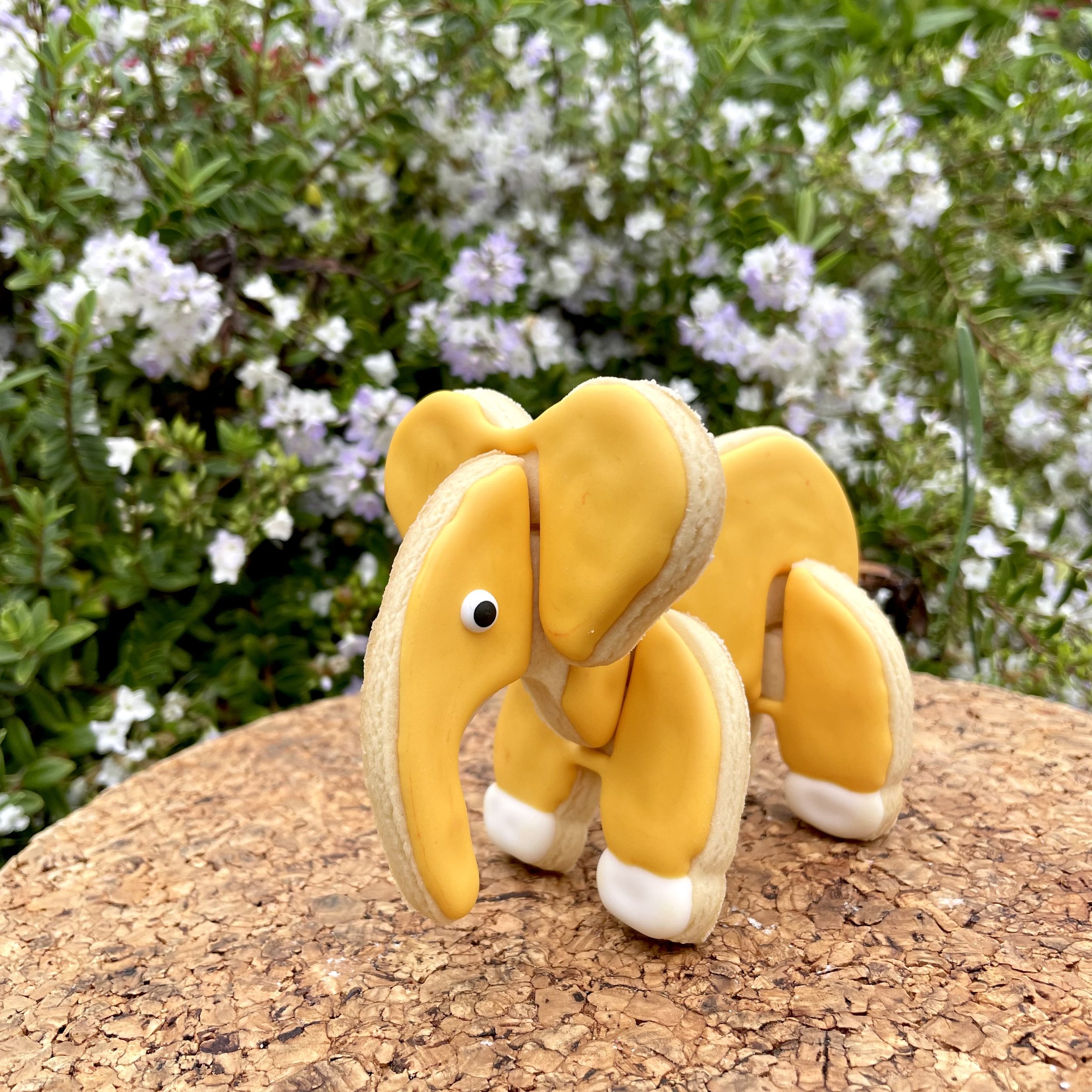 Elephant Iced Cookie.jpeg