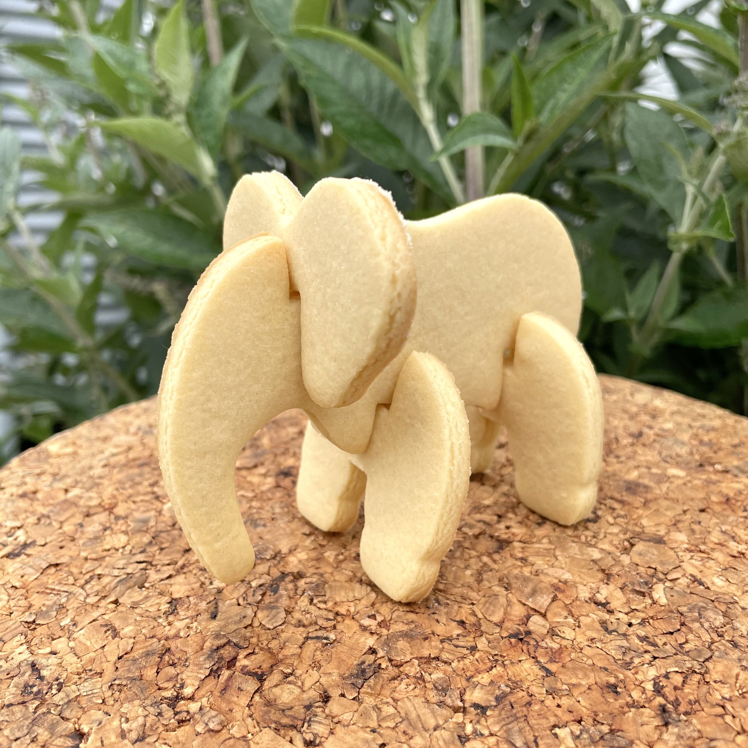 Elephant uniced cookie.jpeg