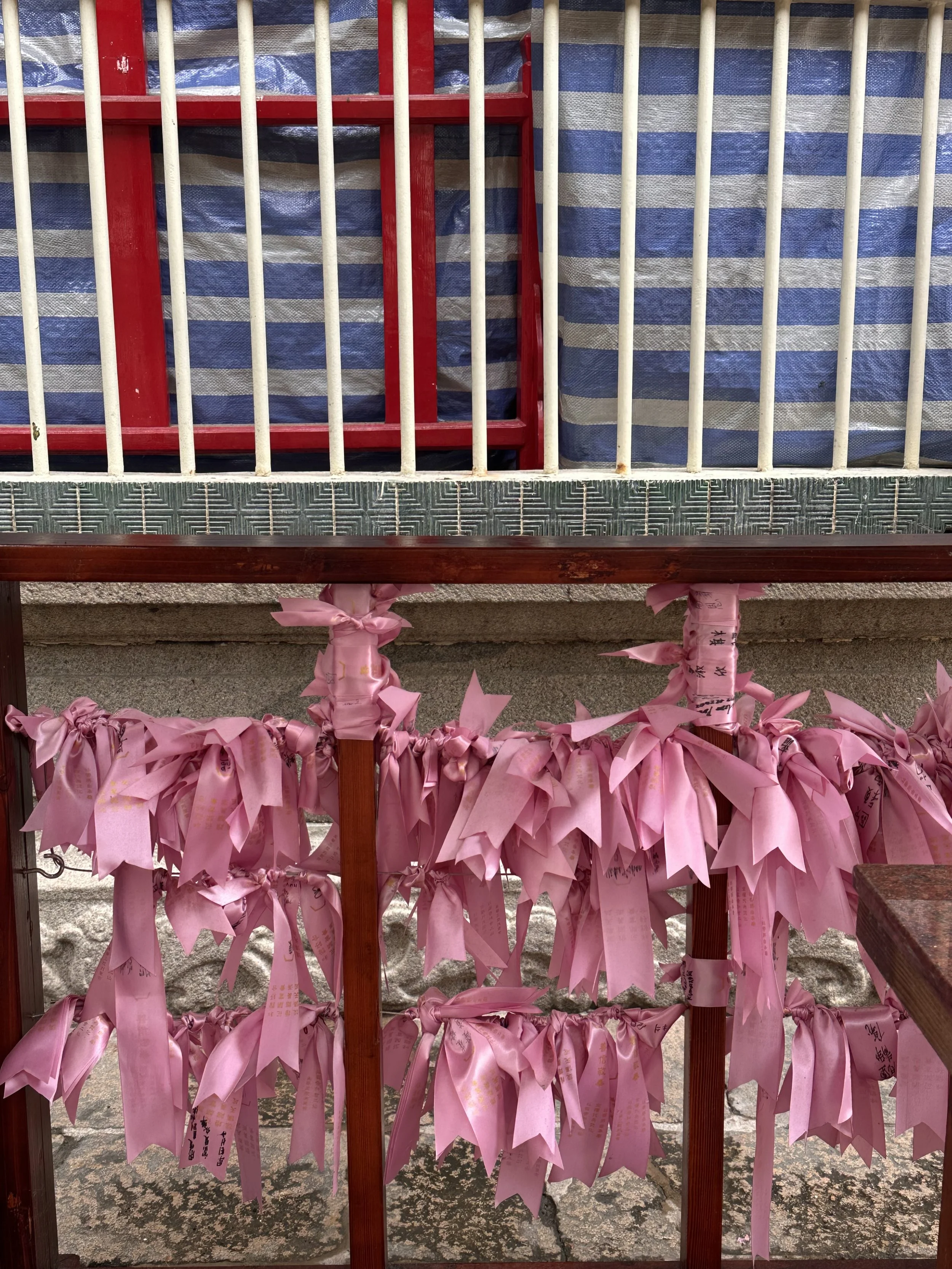 IMG_3205.jpeg