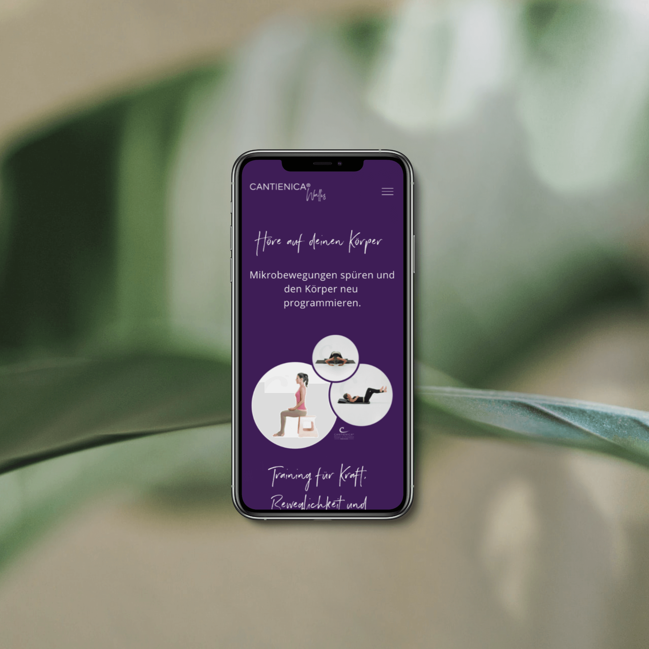 CANTIENICA® Wallis | Körper- und Haltungstraining