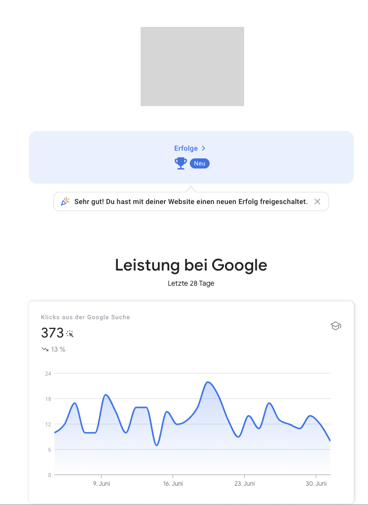 Leistung bei Google