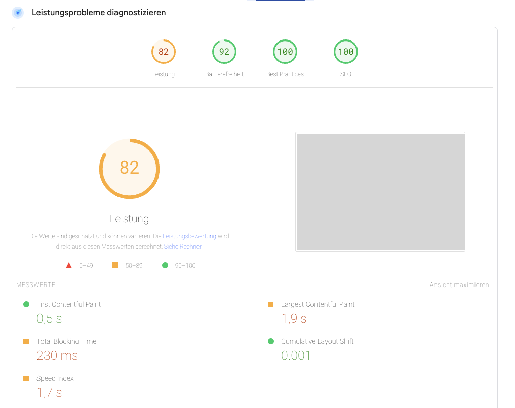 Leistungsprobleme Website PageSpeed Insights