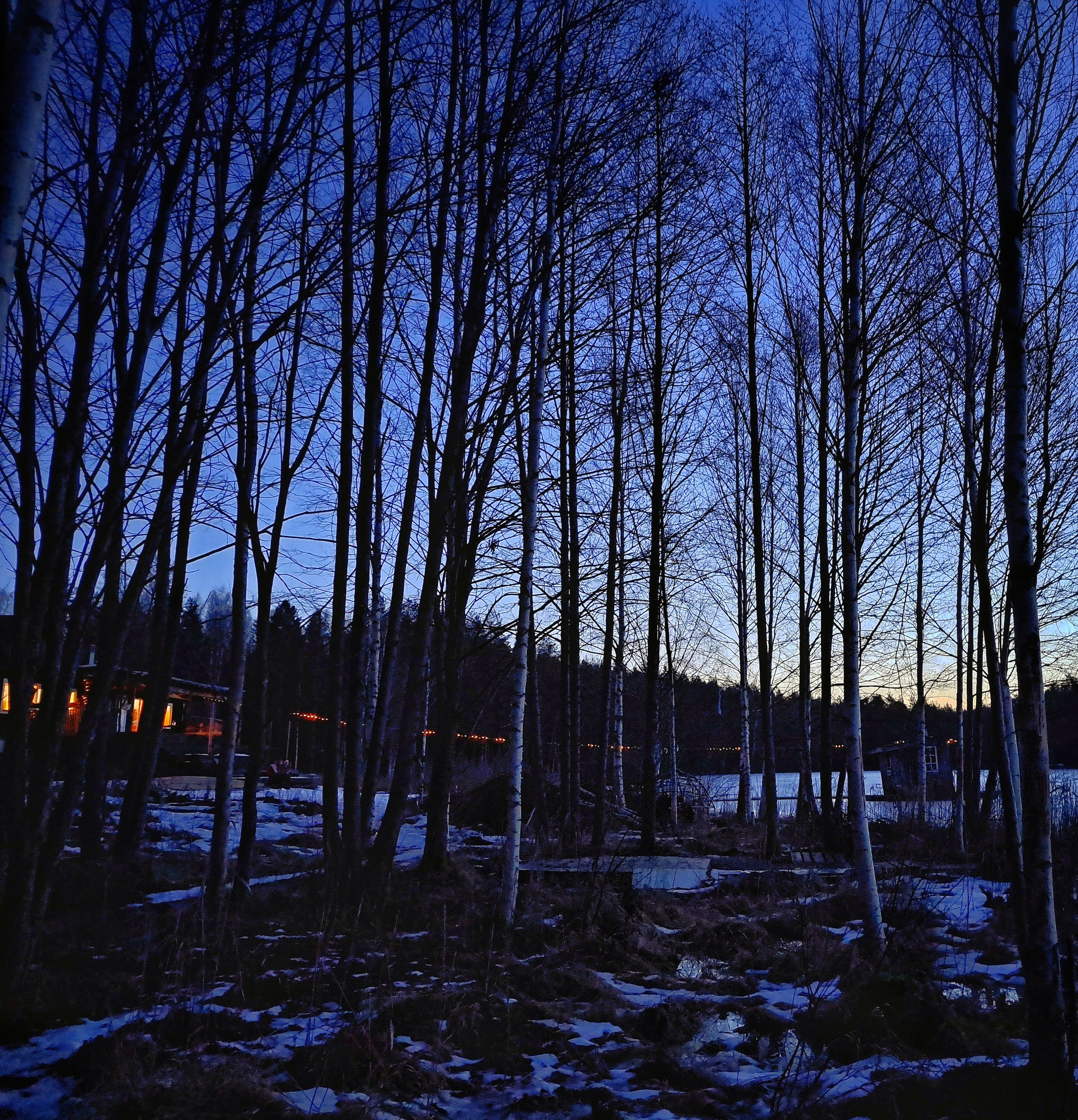 20250126_073033.jpg