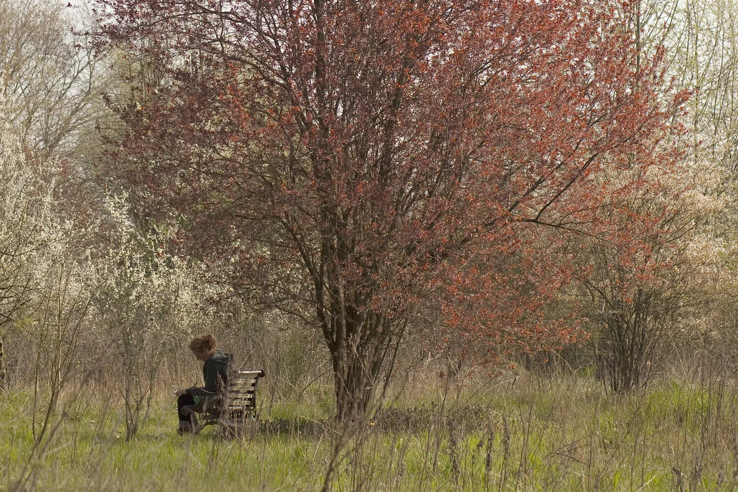 nature-retreat.JPG
