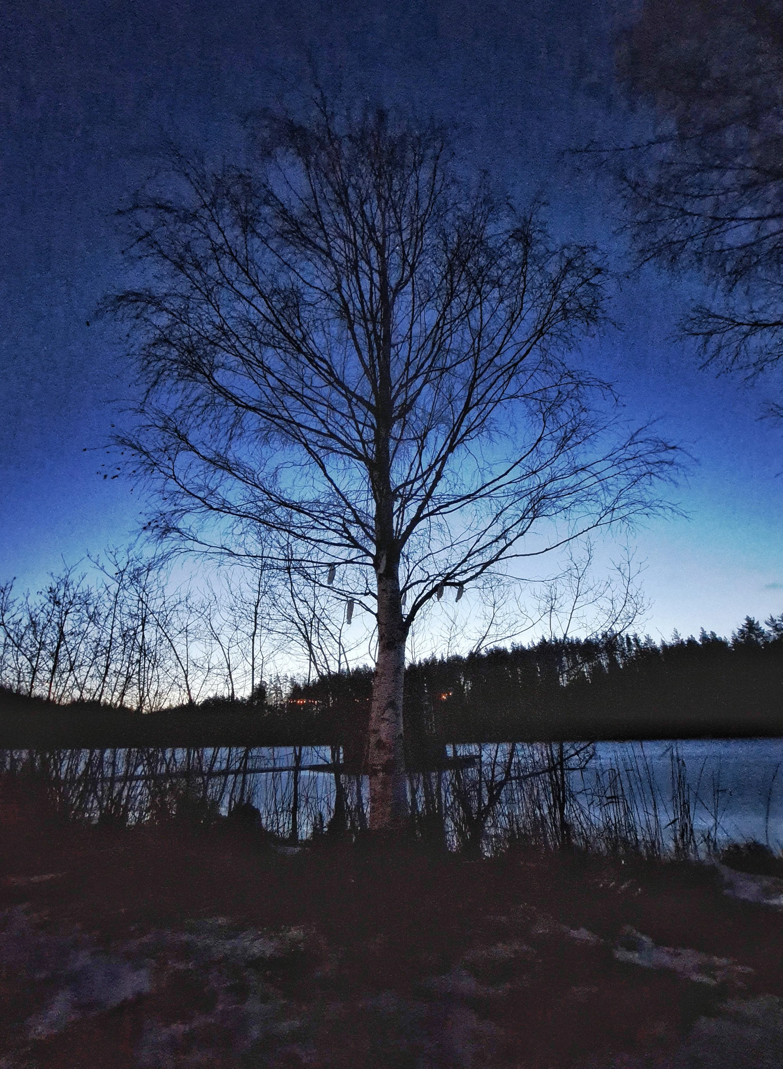 20250126_072152.jpg