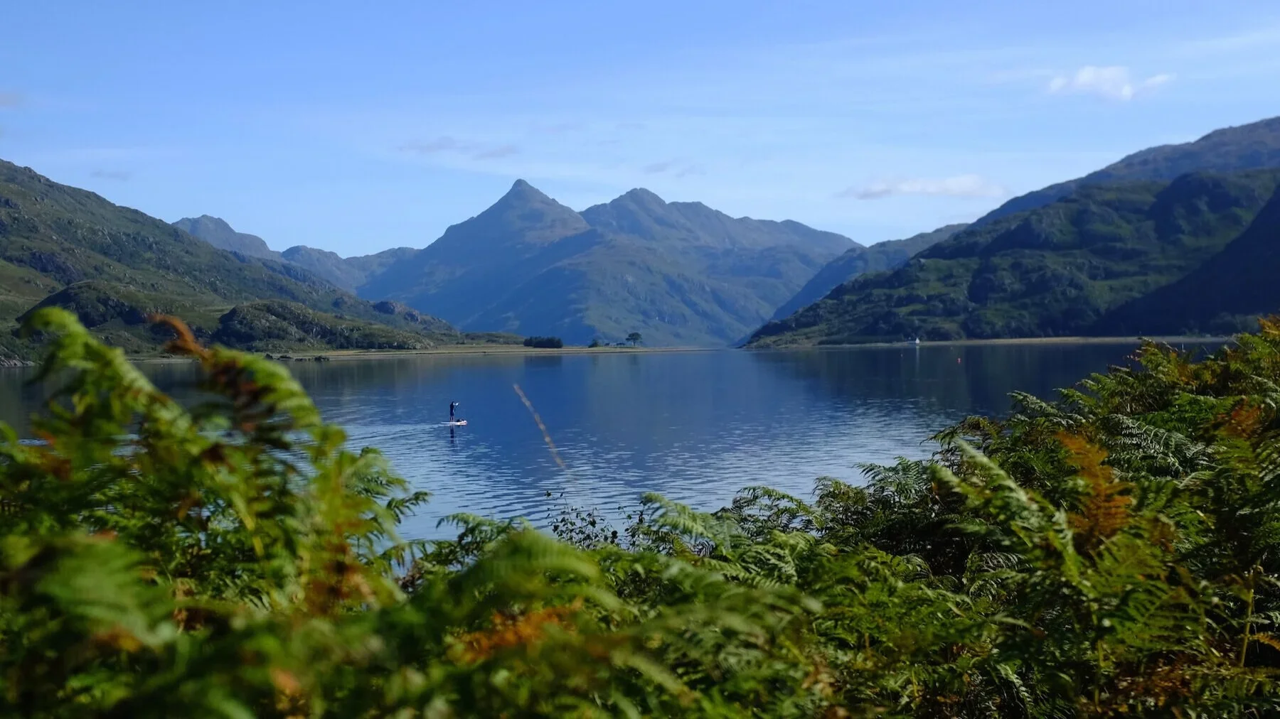VisionQuest_nessie-2-good-un.webp