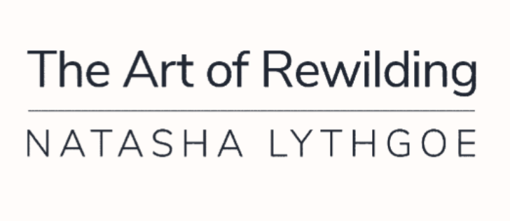 The Art of Rewilding - Vision Quest UK