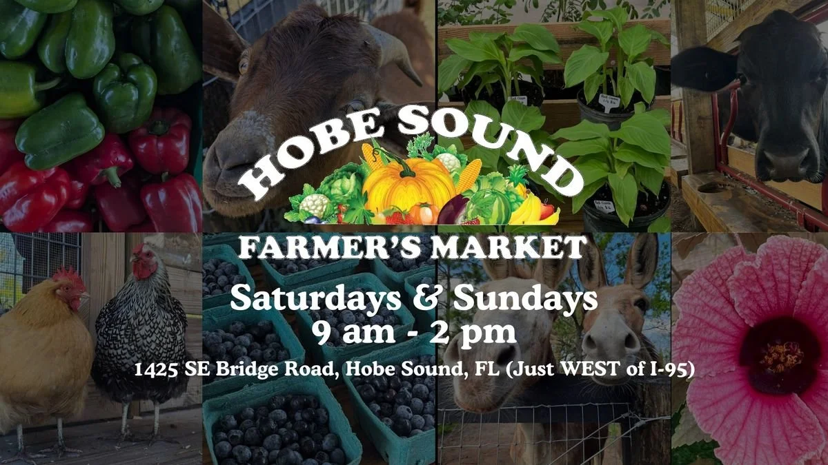 Taste T’s Pastries at Hobe Sound Farmer's Market