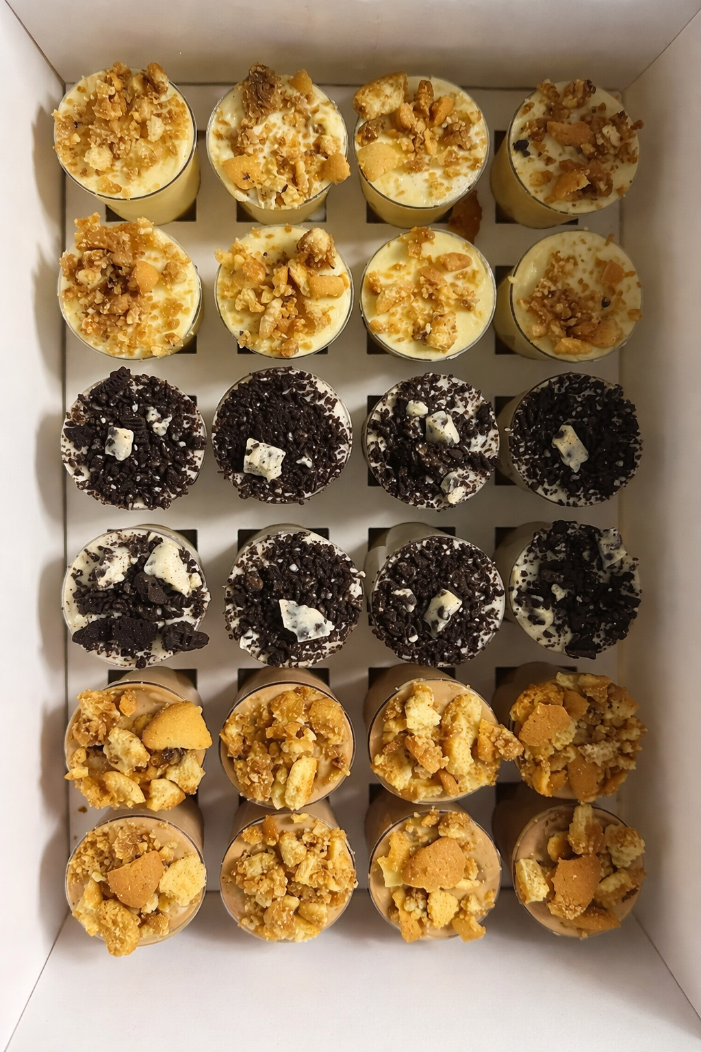 ChatGPT Image Mar 16, 2026, 06_28_16 PM.png