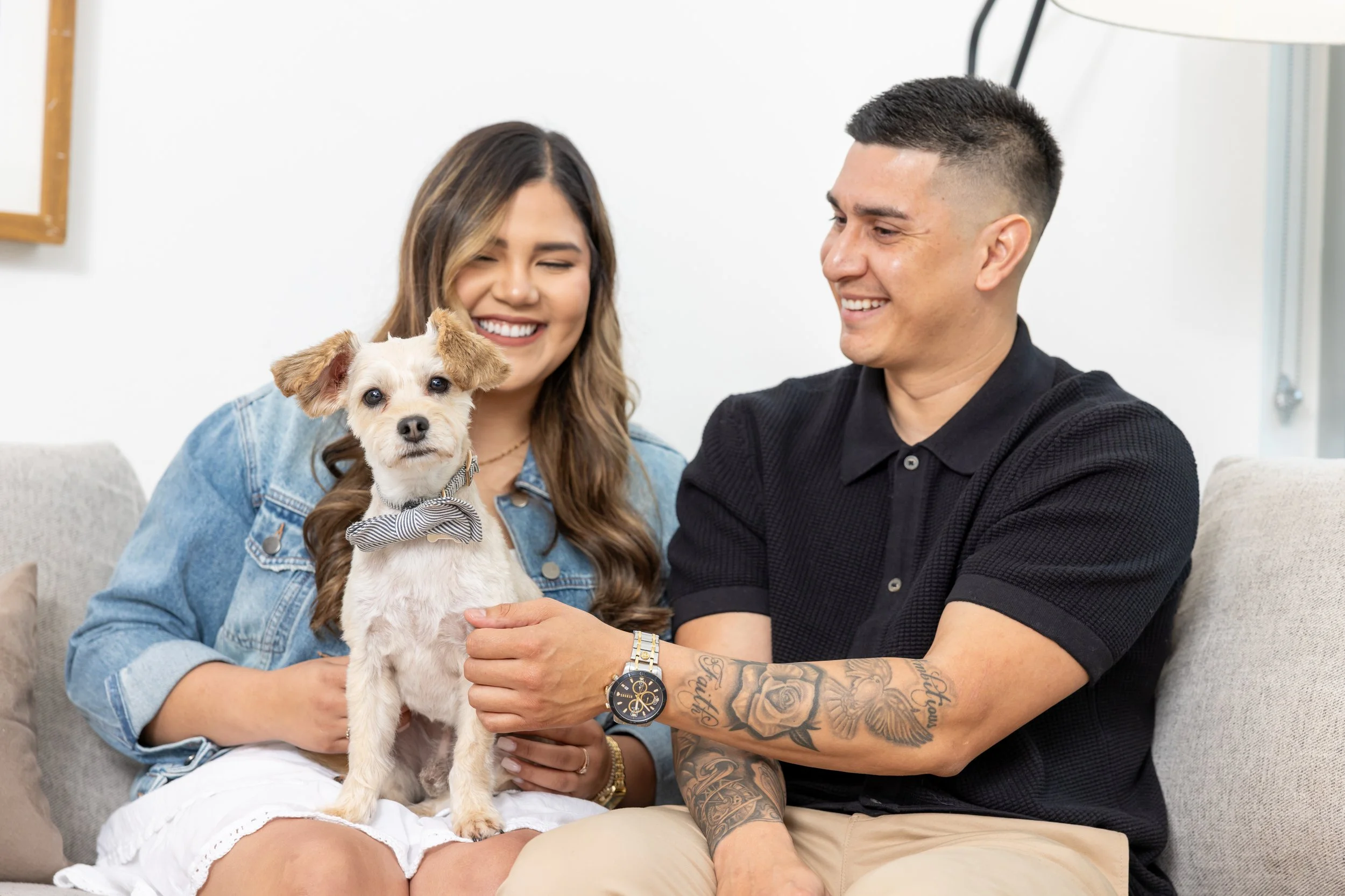 Building and Scaling a National Pet Reunification Platform