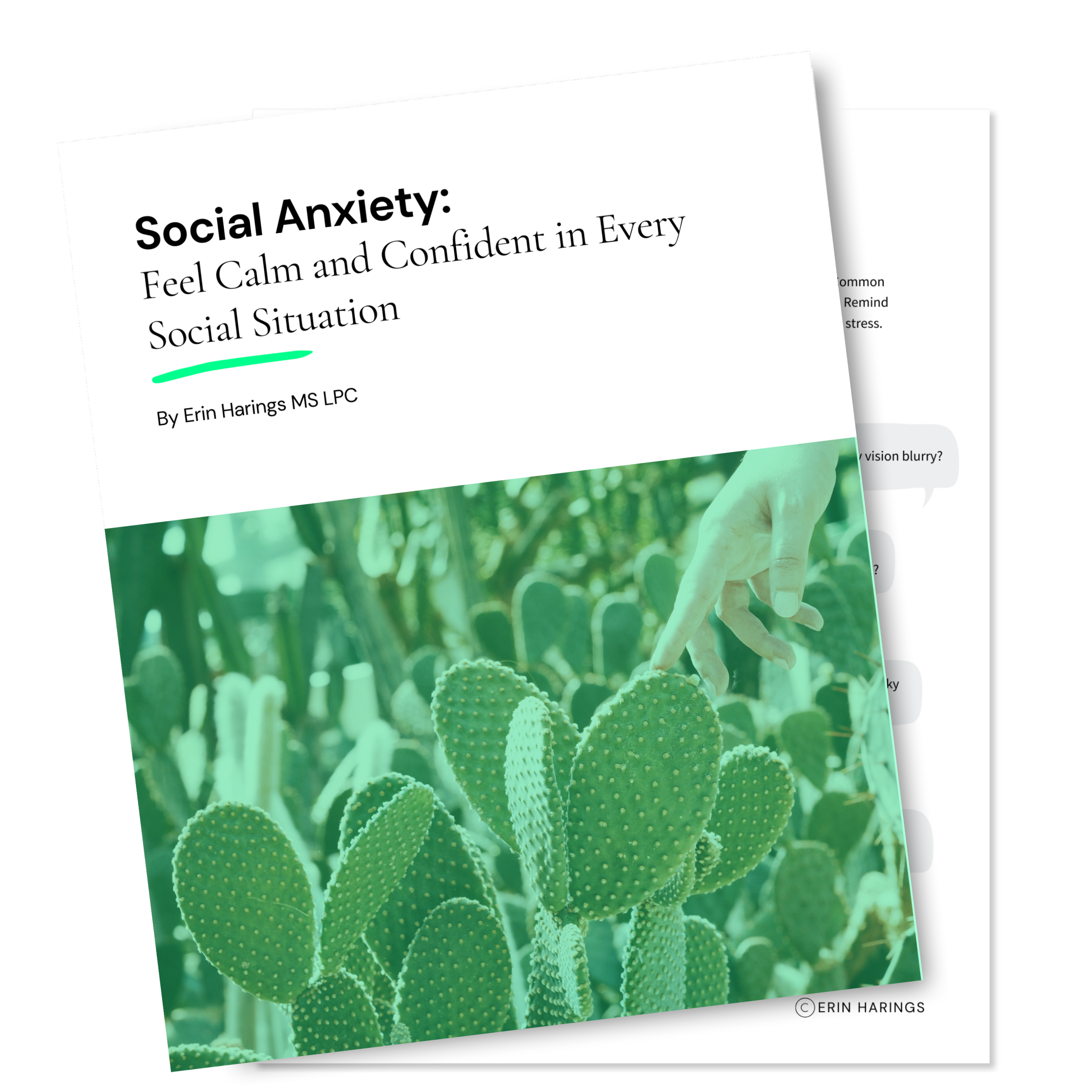 Conquer Anxiety Course | Transform Your Mindset — Erin Harings ...