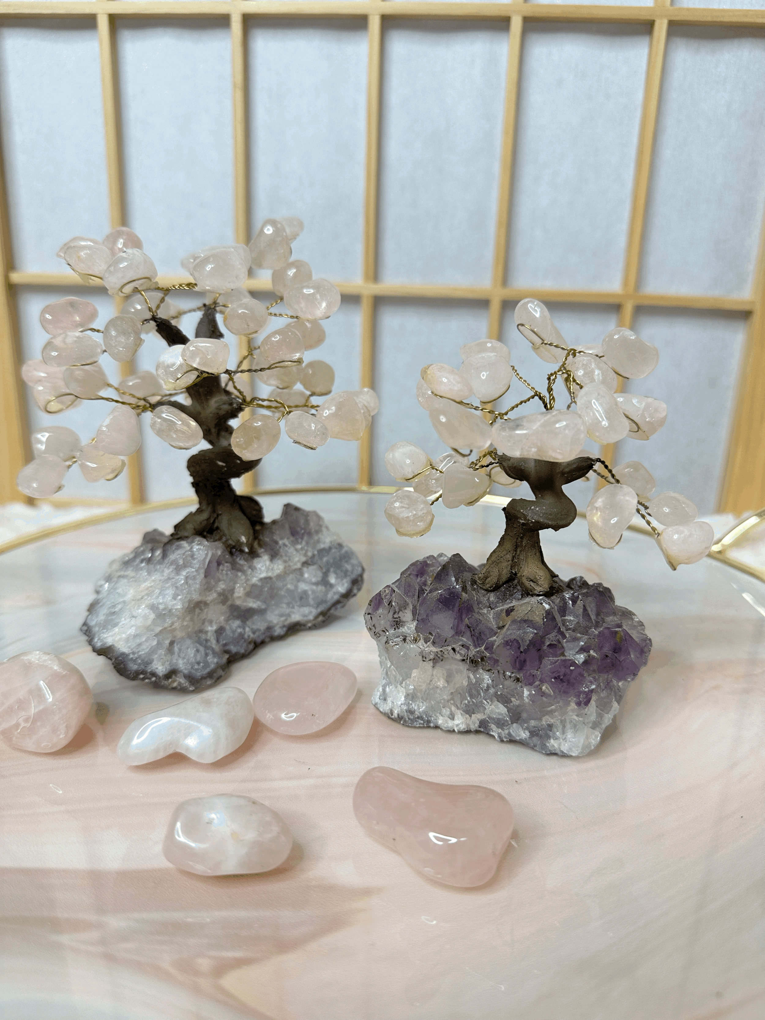 粉晶樹 (TWD $980起)