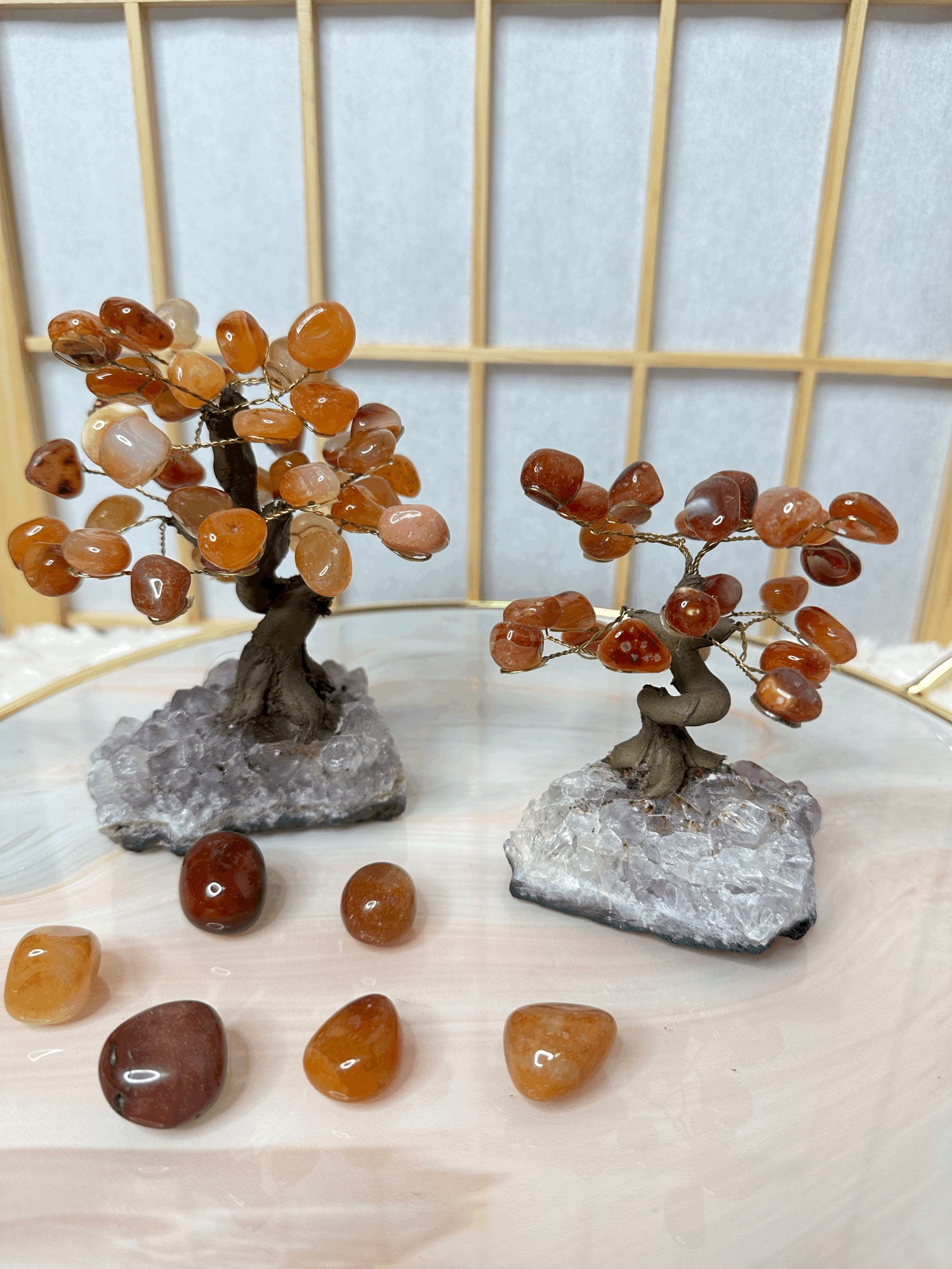 紅玉隨水晶樹 (TWD $980)