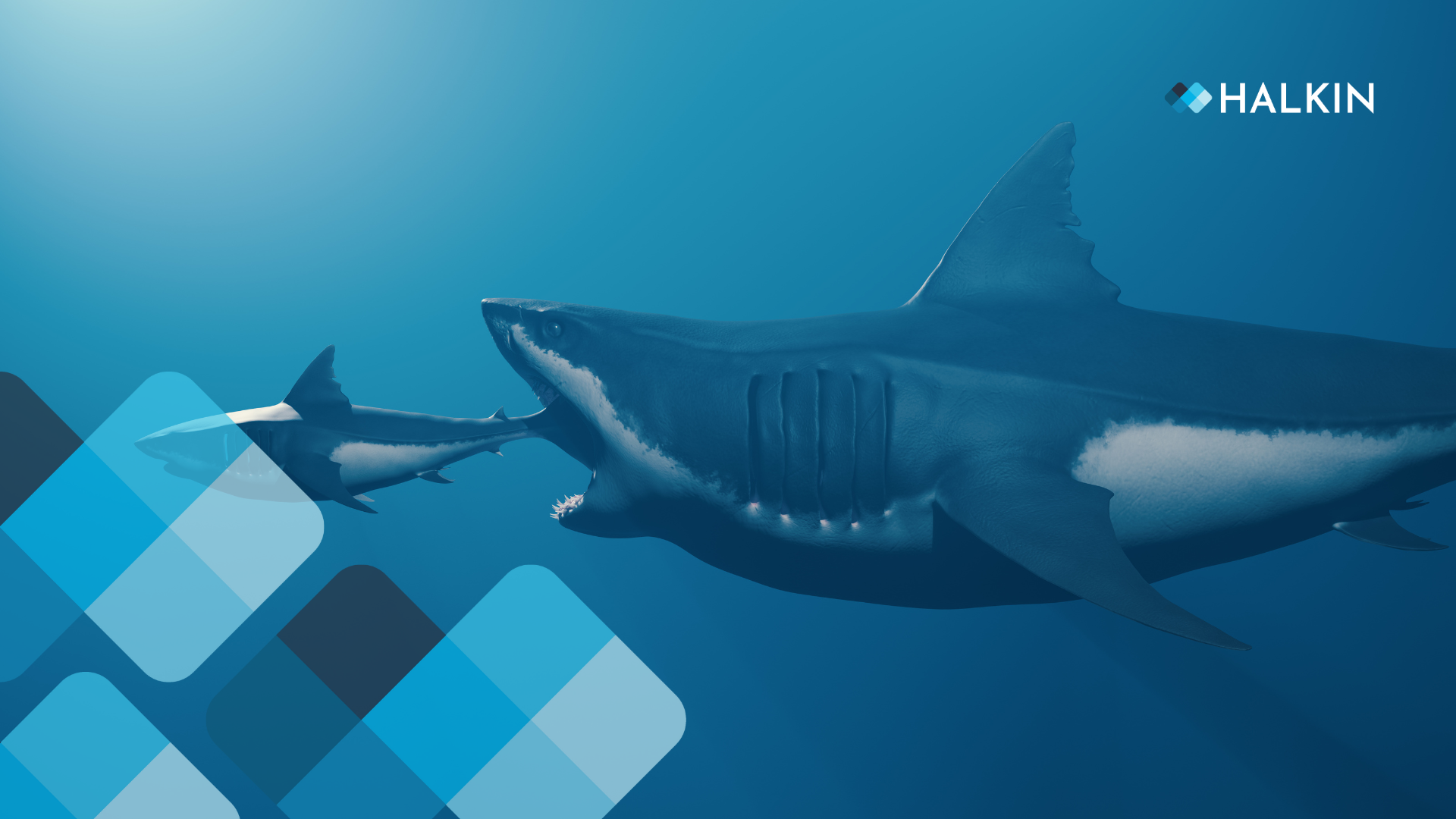 Thriving in the Shadow of Giants: How Startups and SMBs Can Compete Against Larger Companies