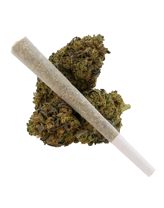 3CHI Infused Pre-Roll 1.5g