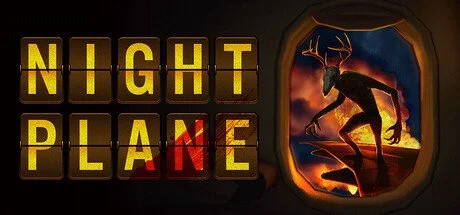 Night Plane