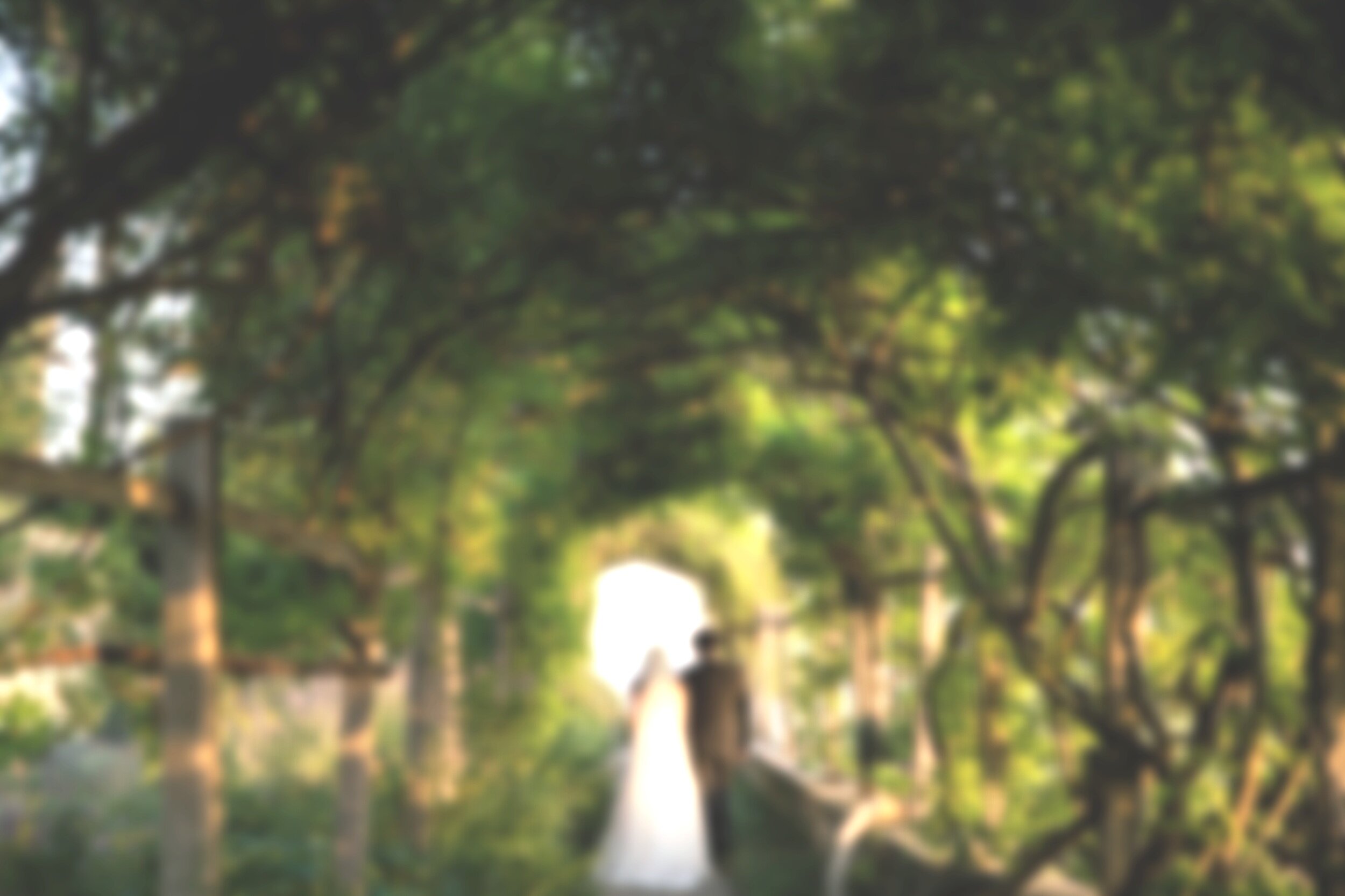 Nina+and+Shen+Wedding+-+0732.jpg