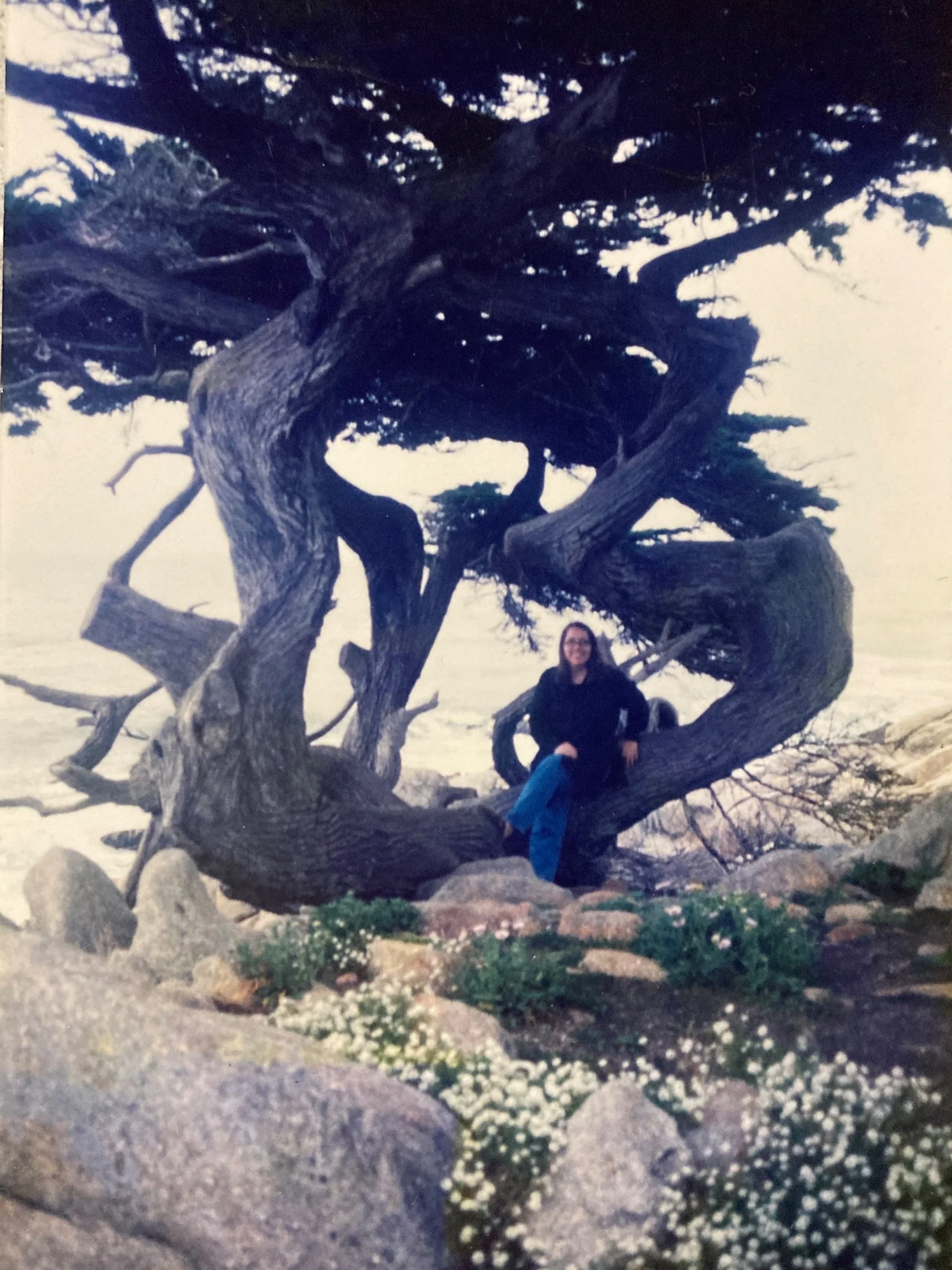 One month in Berkeley, May 2001