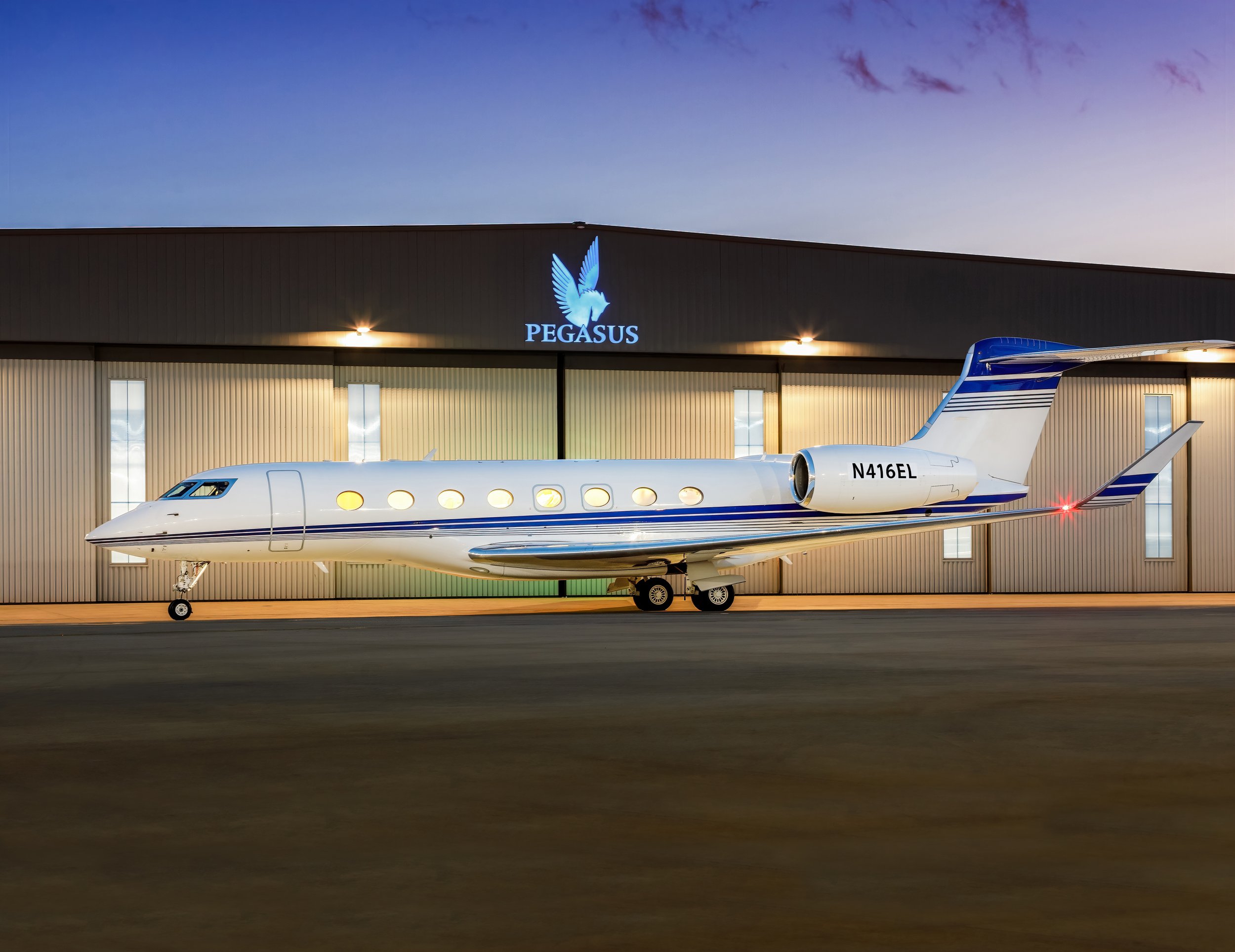 Fleet — Pegasus Elite Aviation