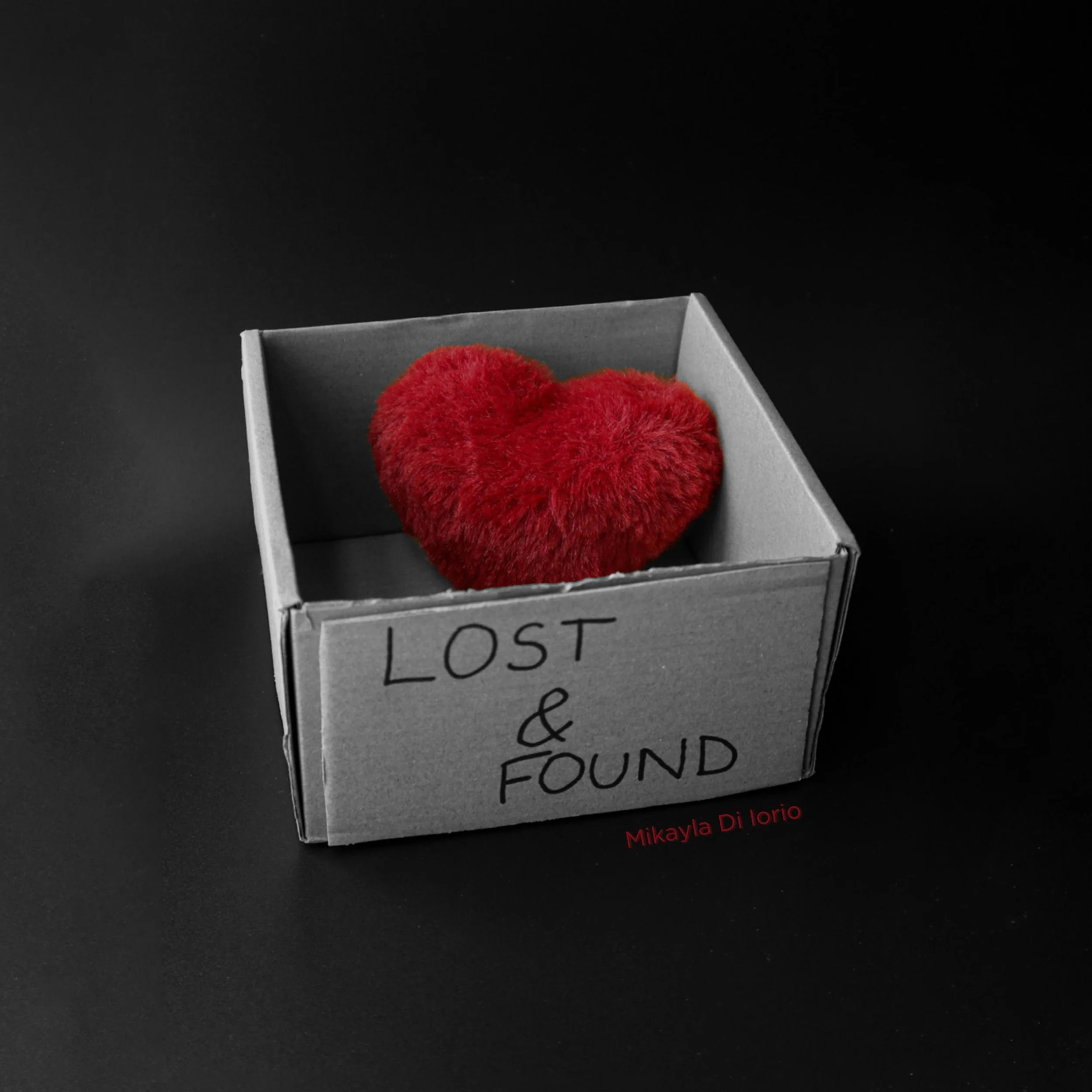 3000x3000-1877323--D3A4610A-99CD-4FE6-822DC54AD35B9976--0--3810597--MikaylaDiIorioLostFoundSingleCover.jpeg