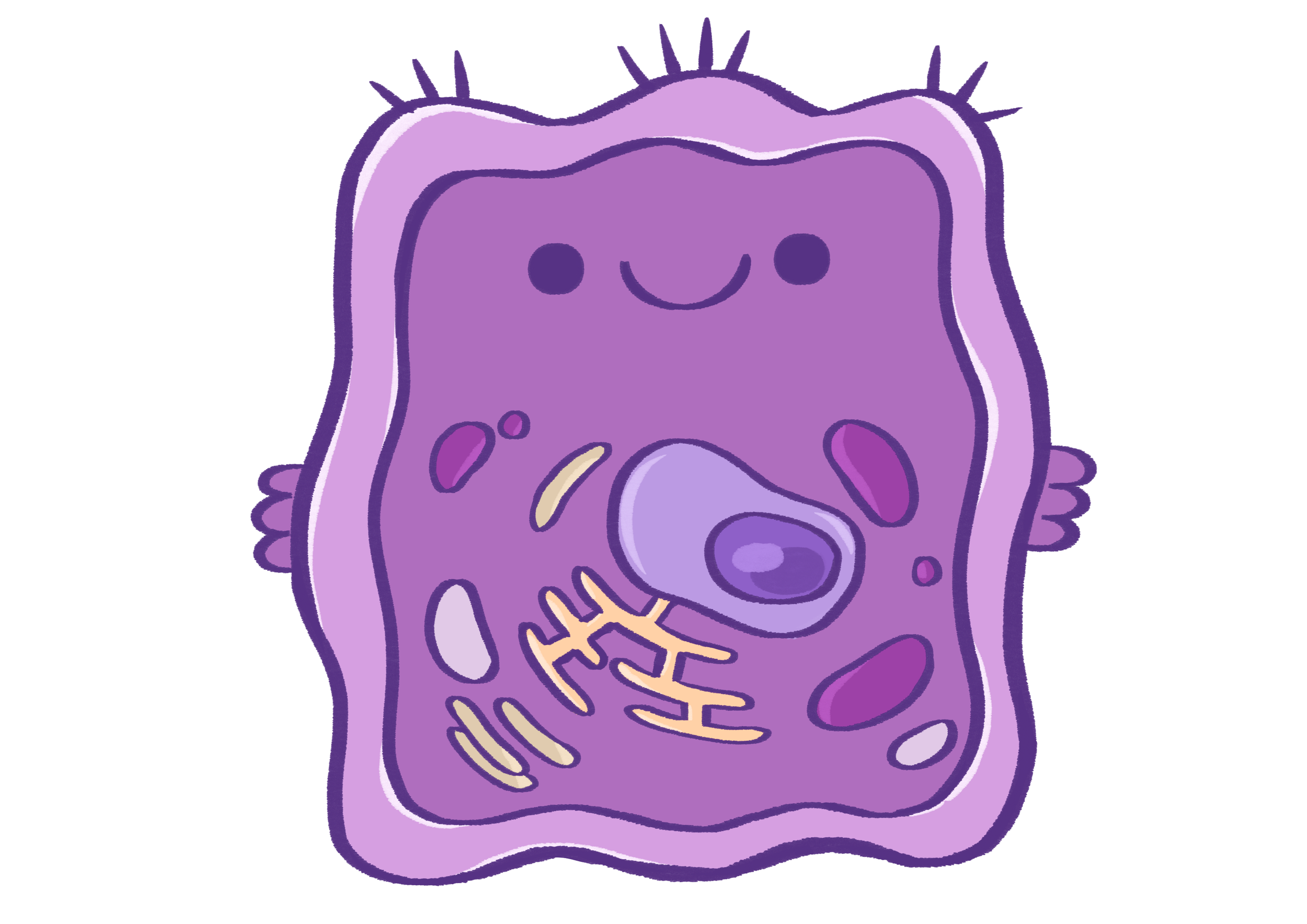 Keratinocyte 1.png