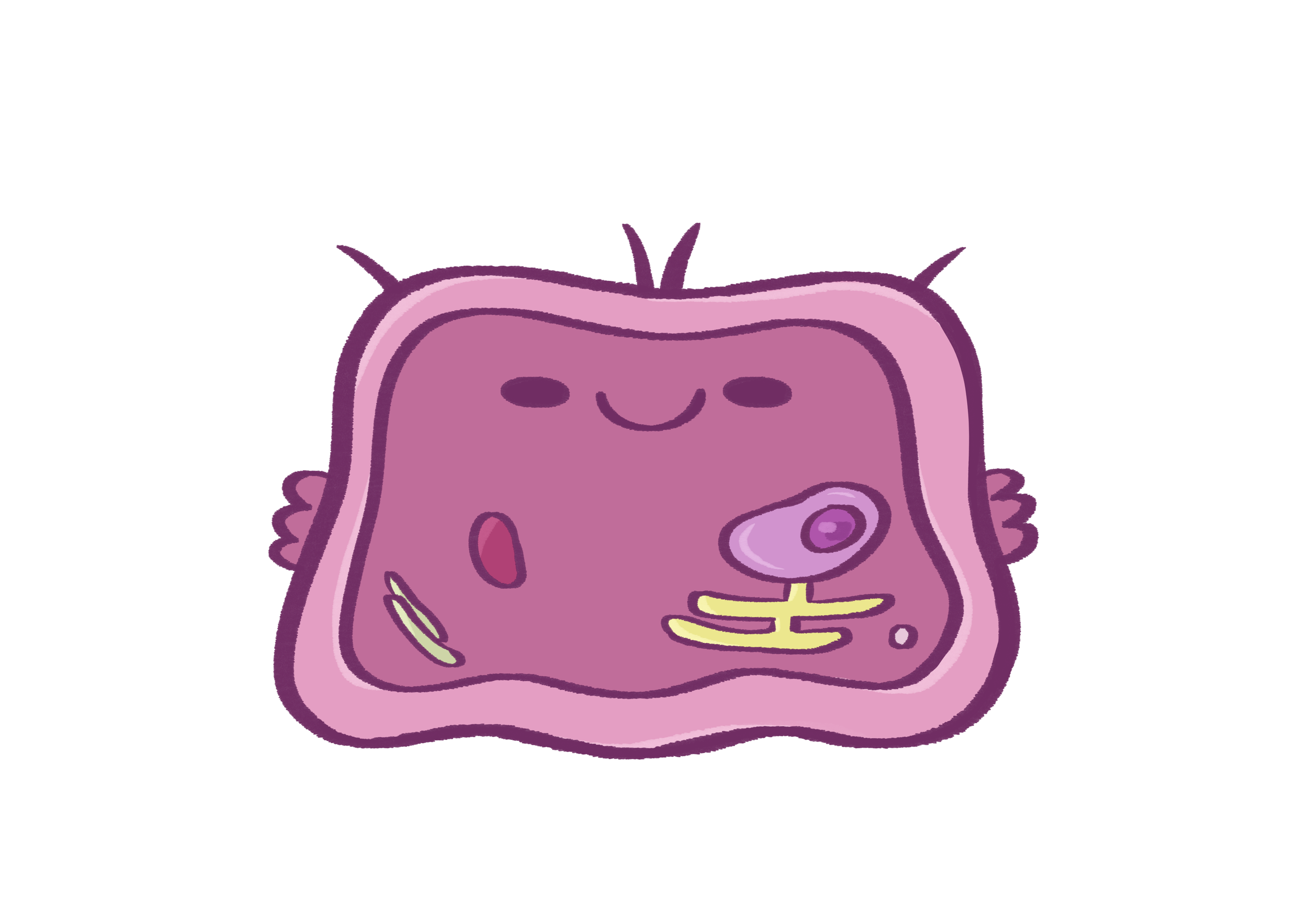 Keratinocyte 3.png