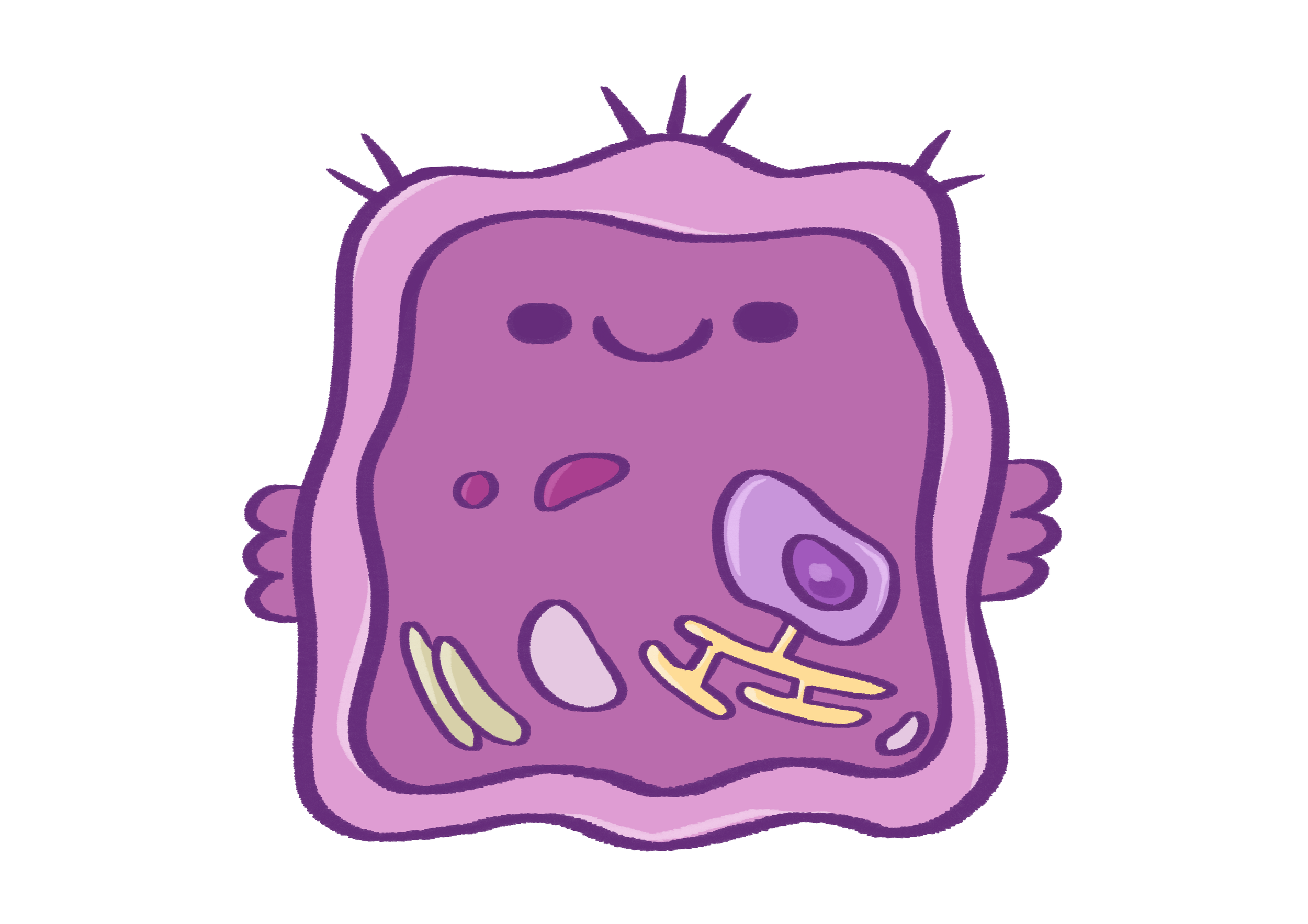Keratinocyte 2.png