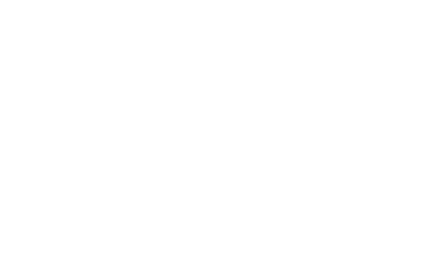 Second Chance Beer Co