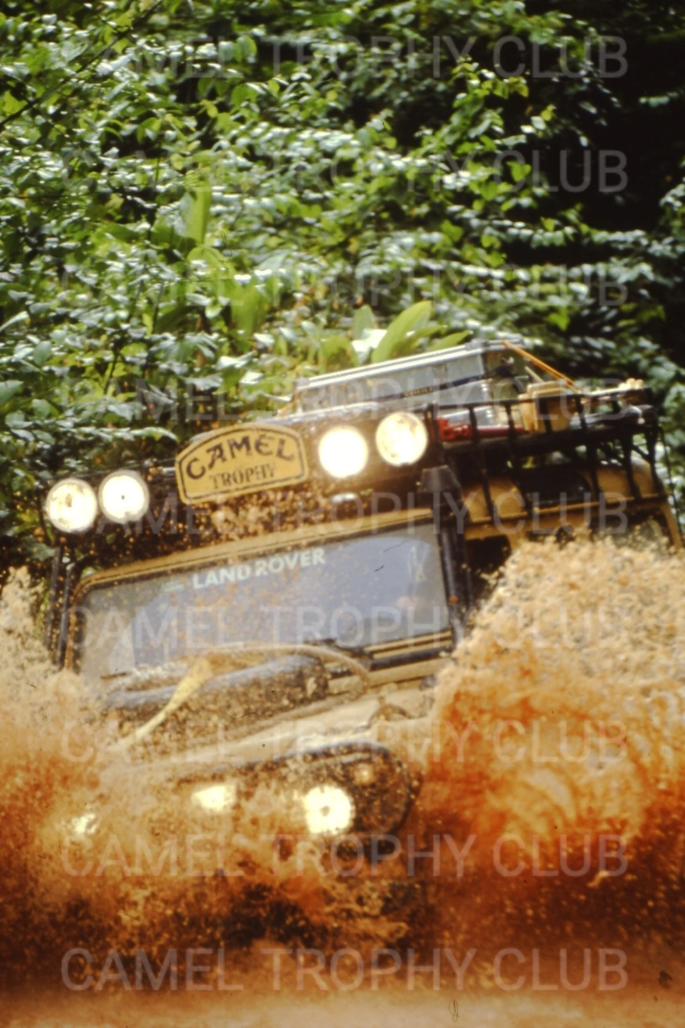 PICT0002-X4.jpg