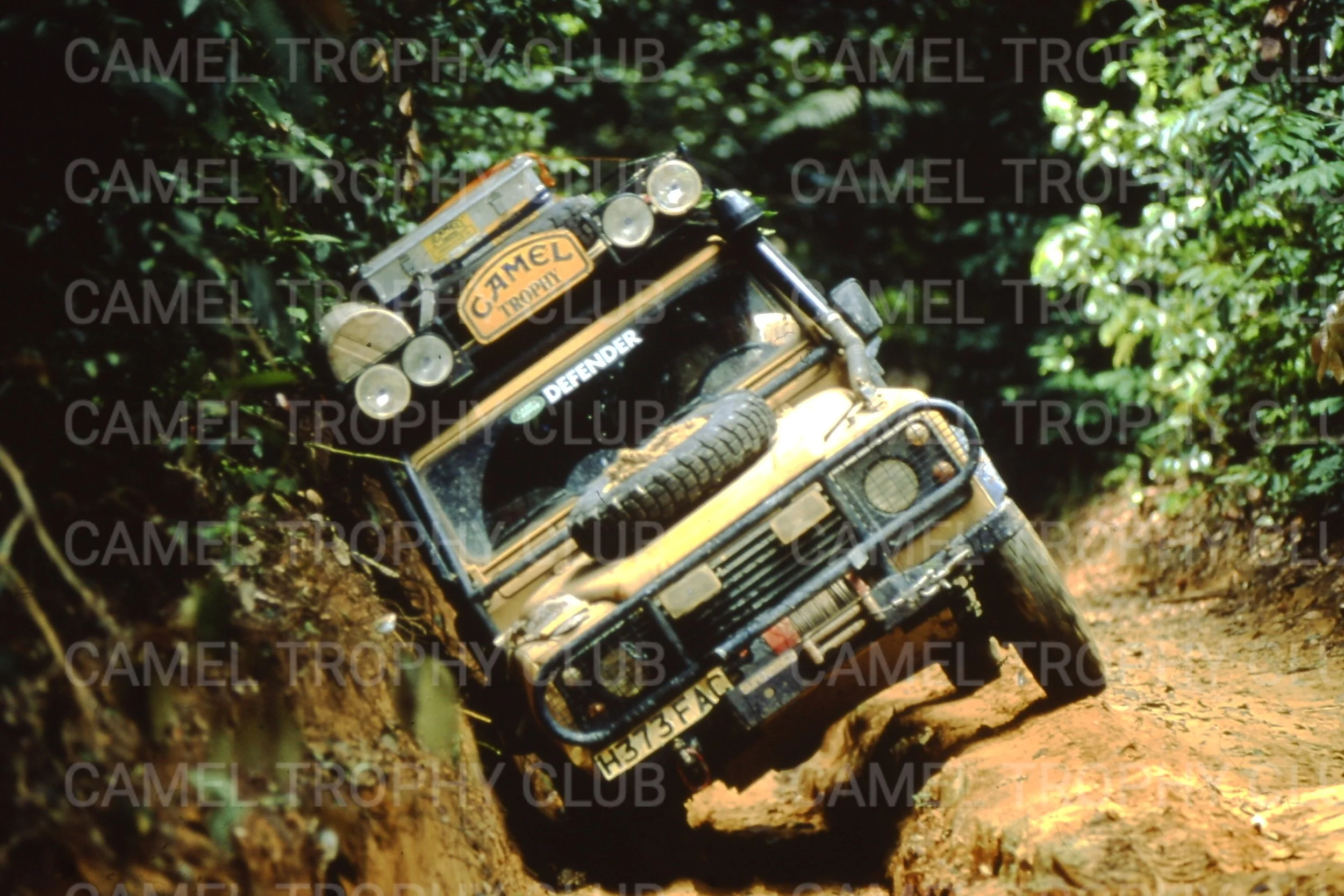 PICT0013-X5.jpg