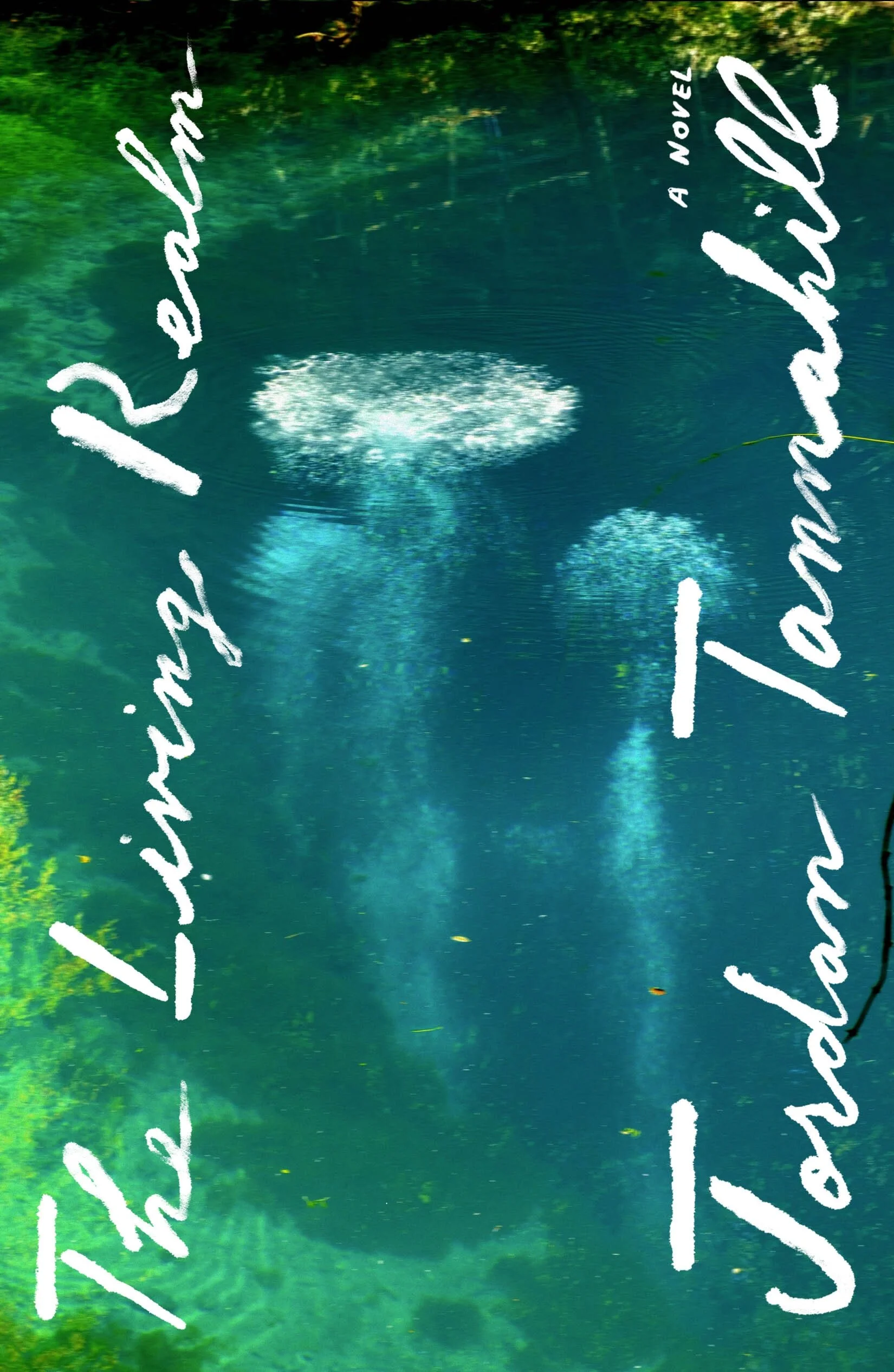 The Living Realm: A Novel by Jordan Tannahill (09/08/26)
