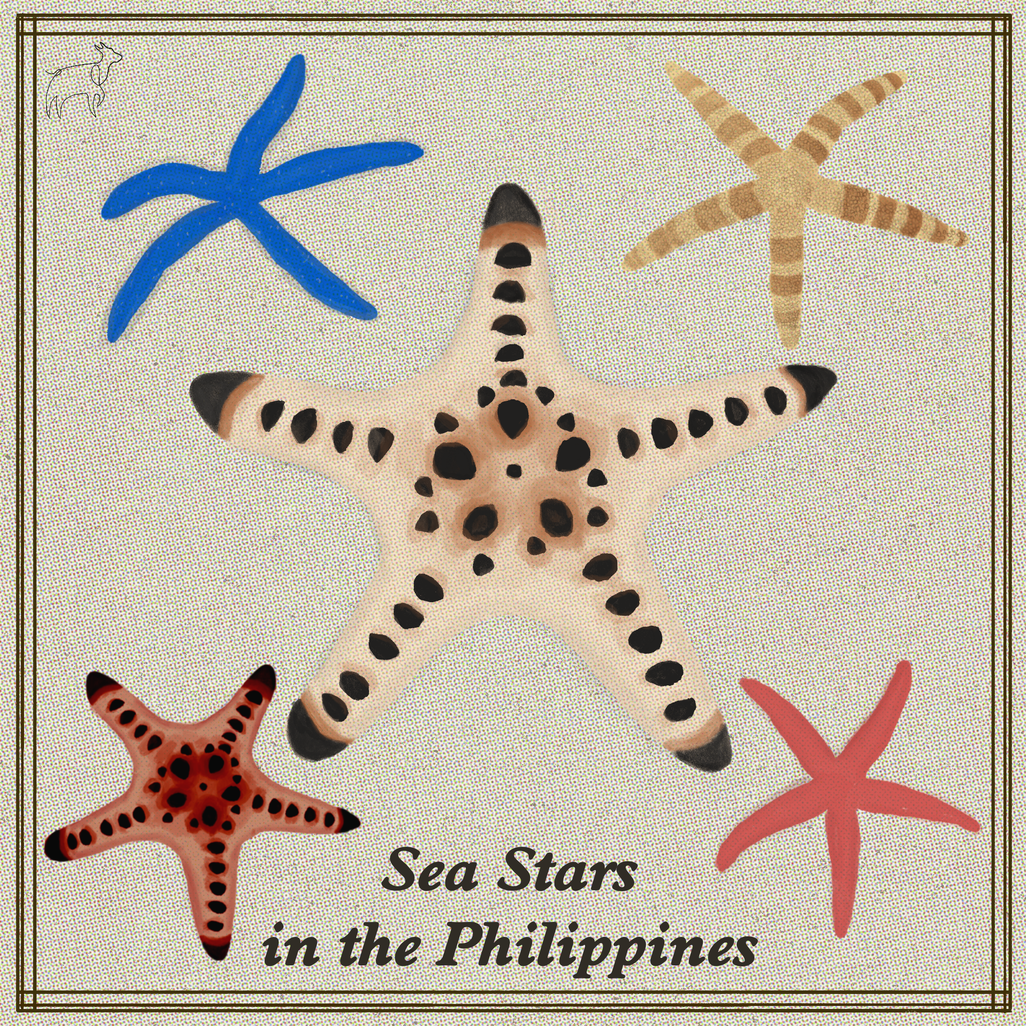 STARFISH.PNG