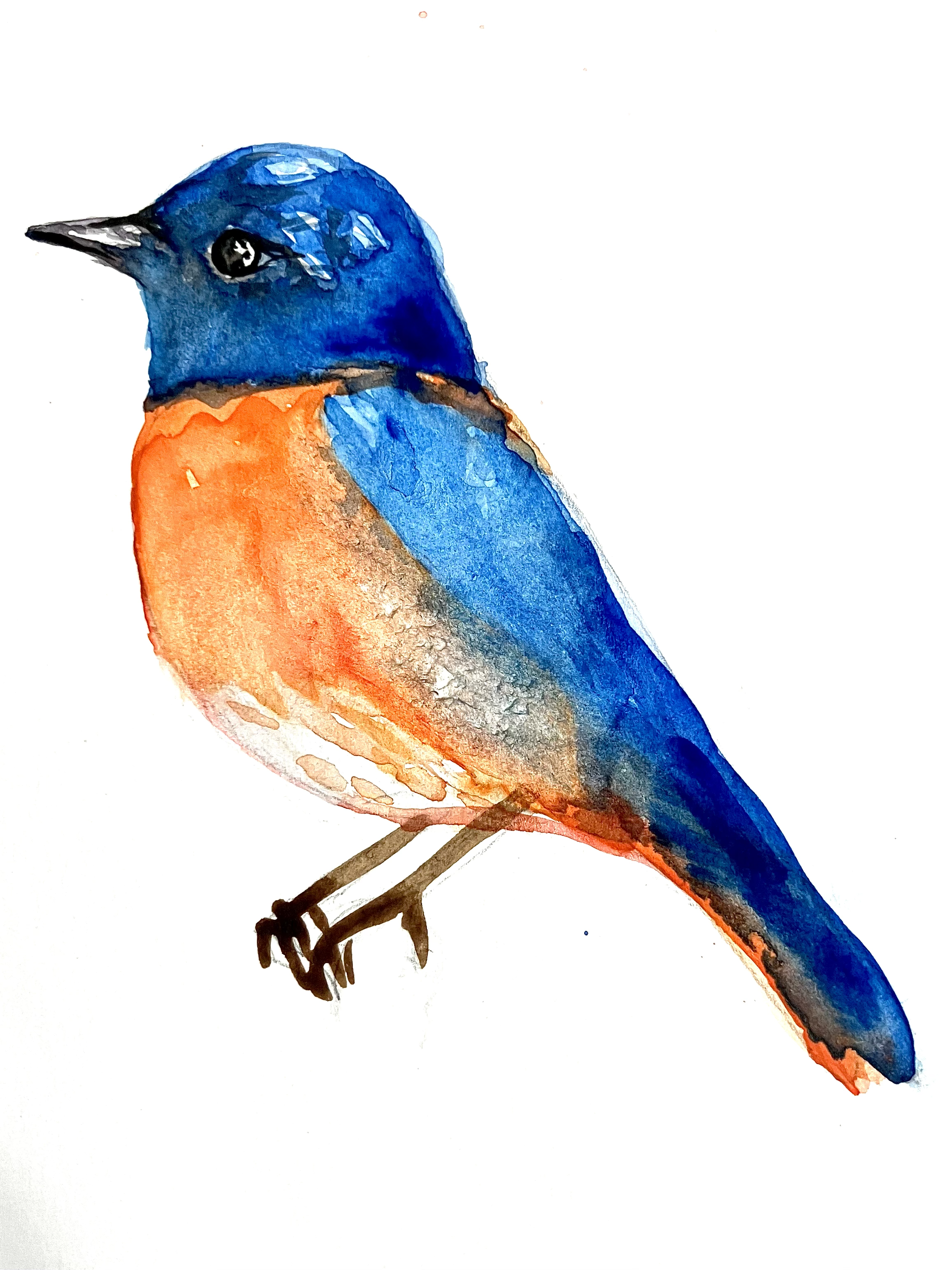 Bird Study - Watercolor on 7x10" cold press paper