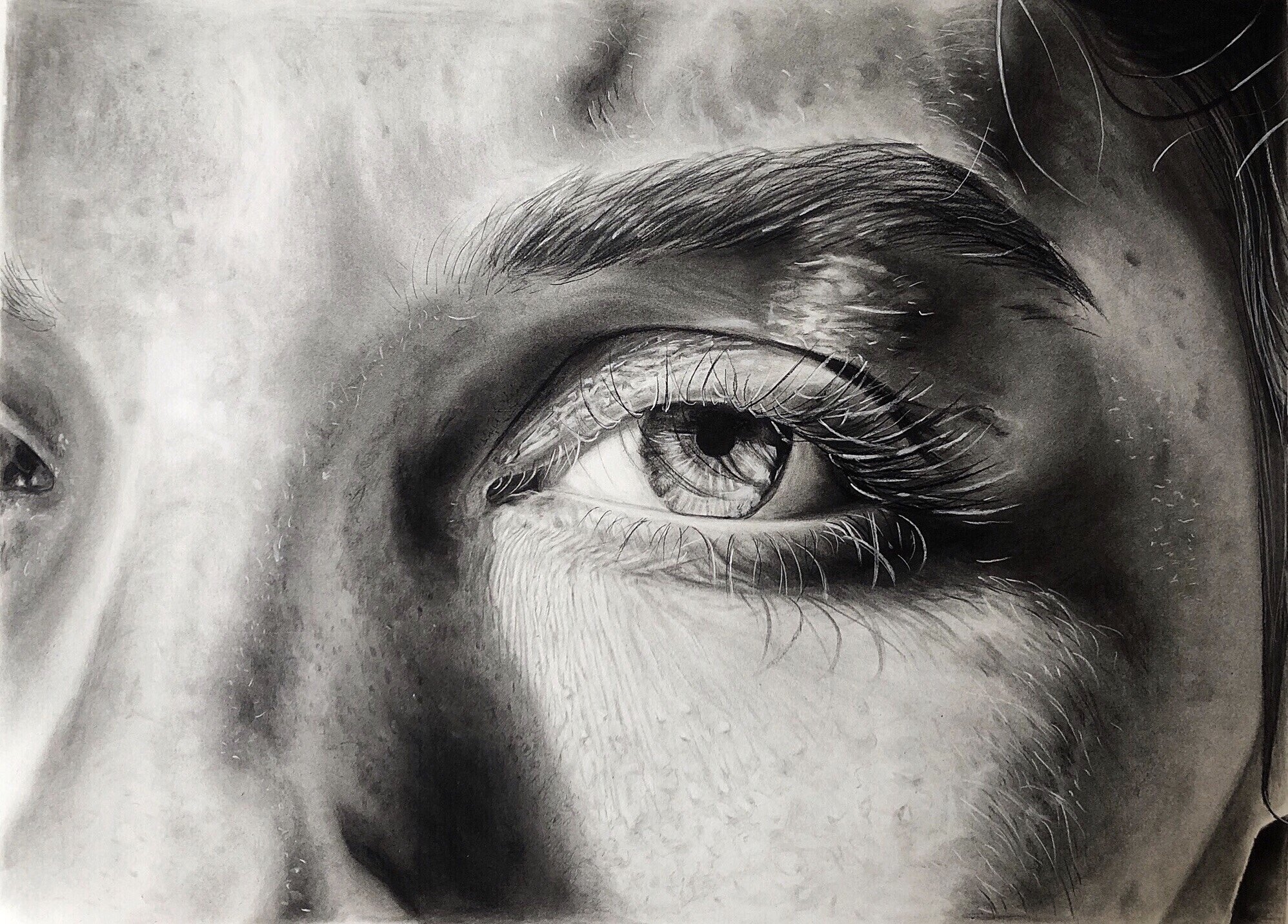 Reality Check, 2019. Pencil and charcoal on paper, 22 x 30 inch.